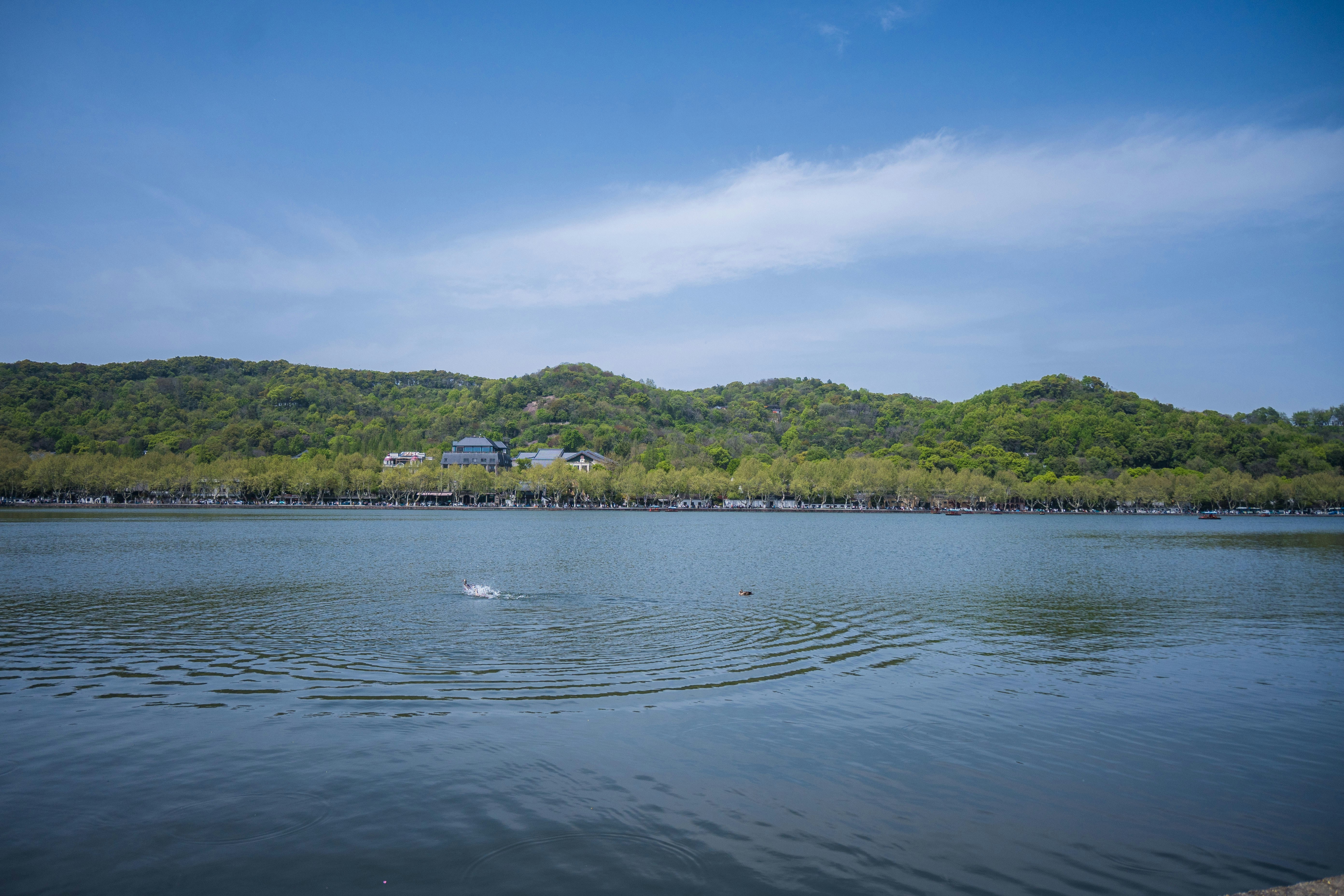 Calm lake with green forested hills under blue sky.