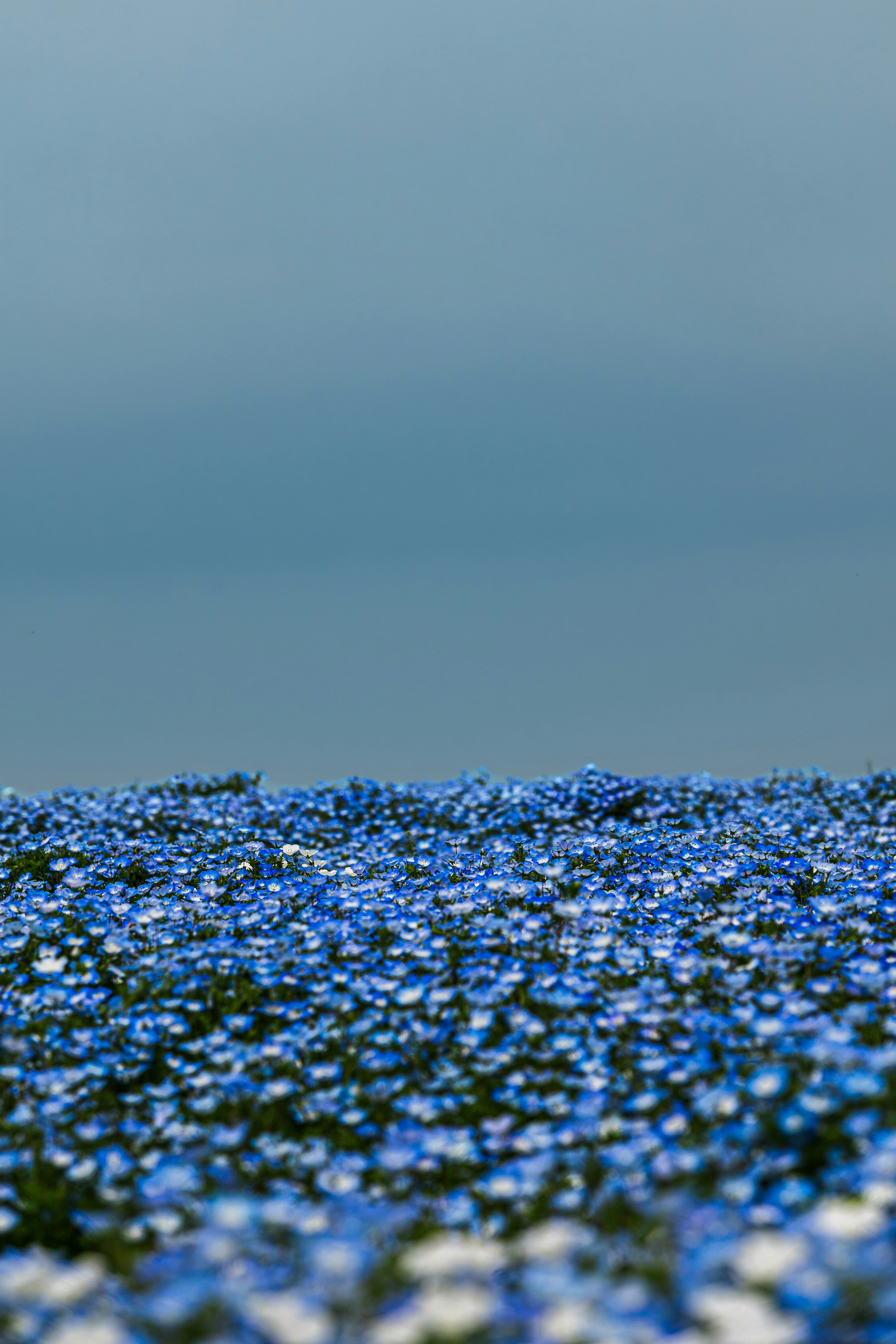 Photo by isoten