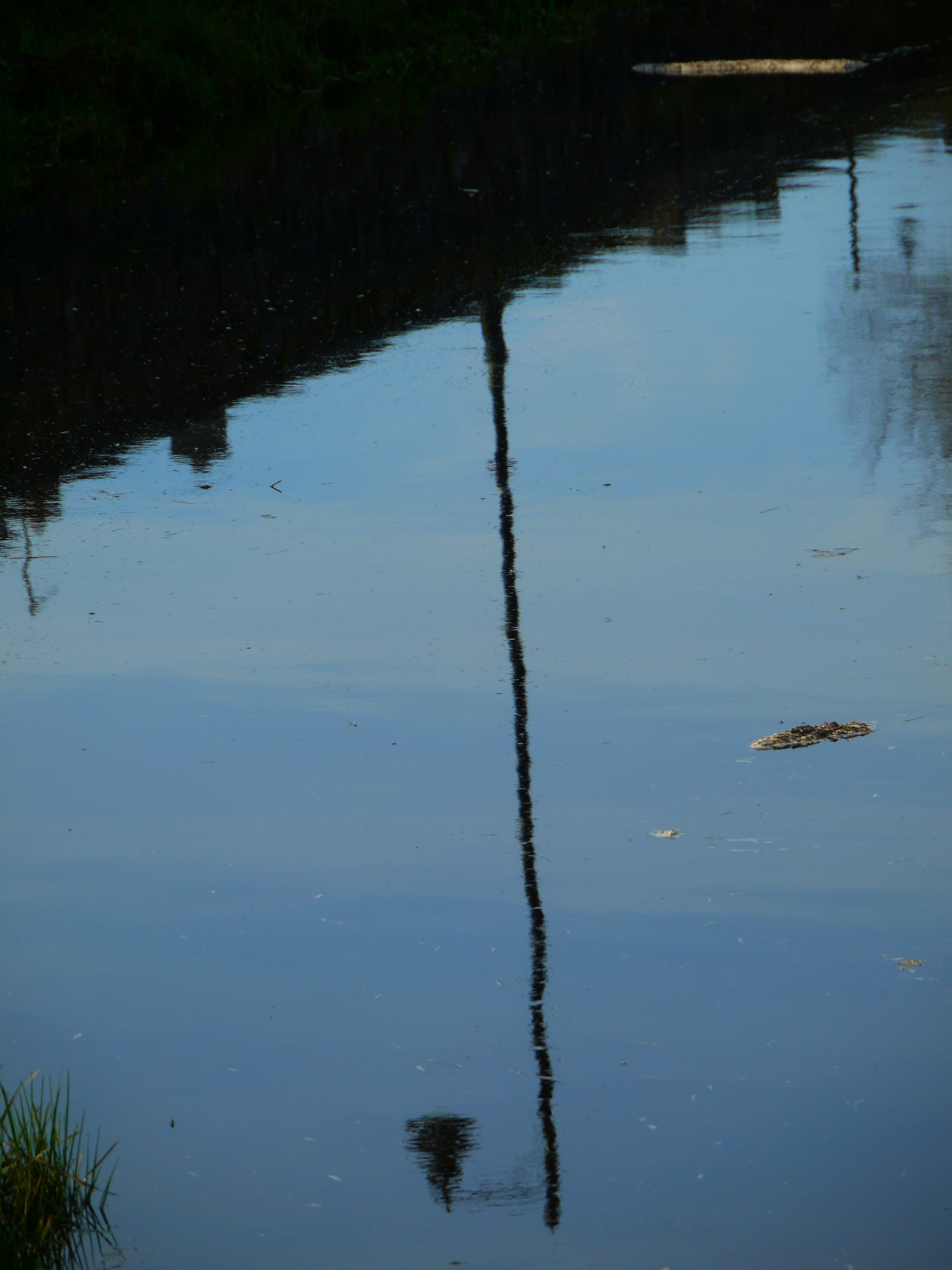 Reflection of a tall pole in calm water