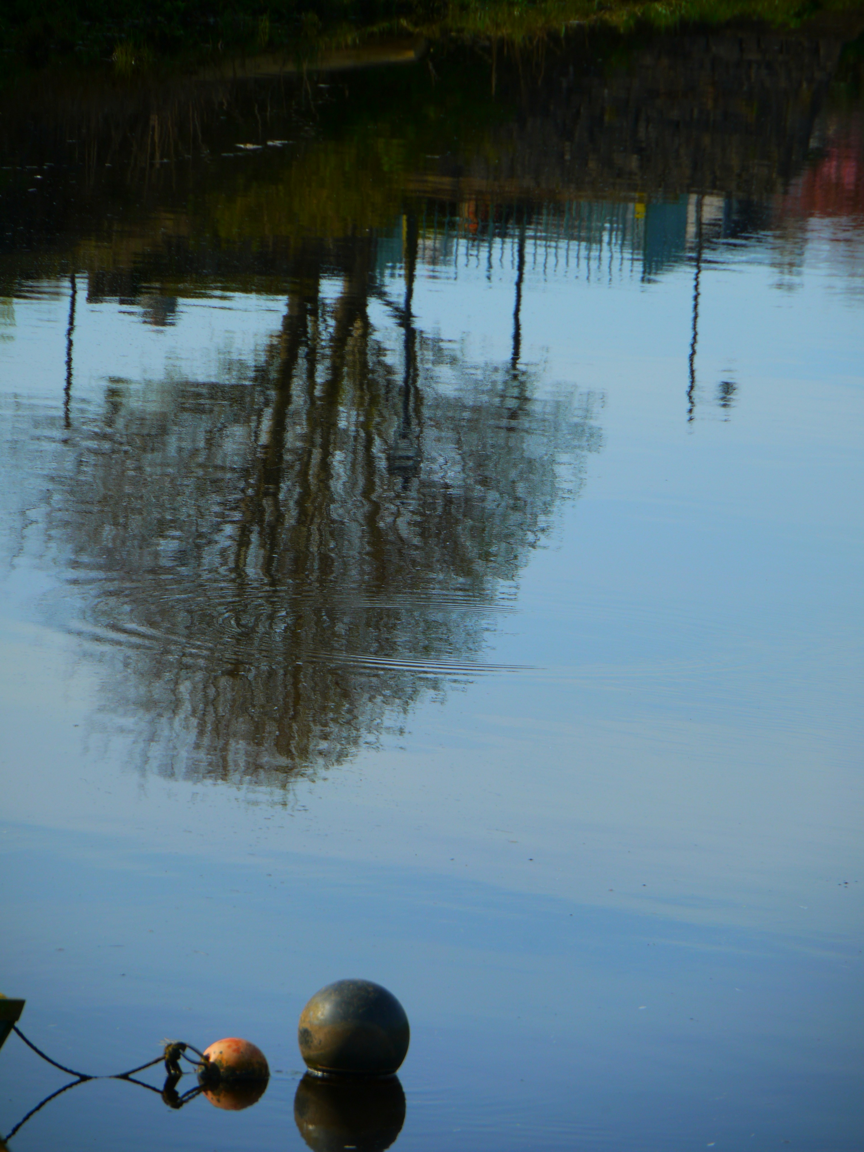 Reflection of a tree and poles in calm water