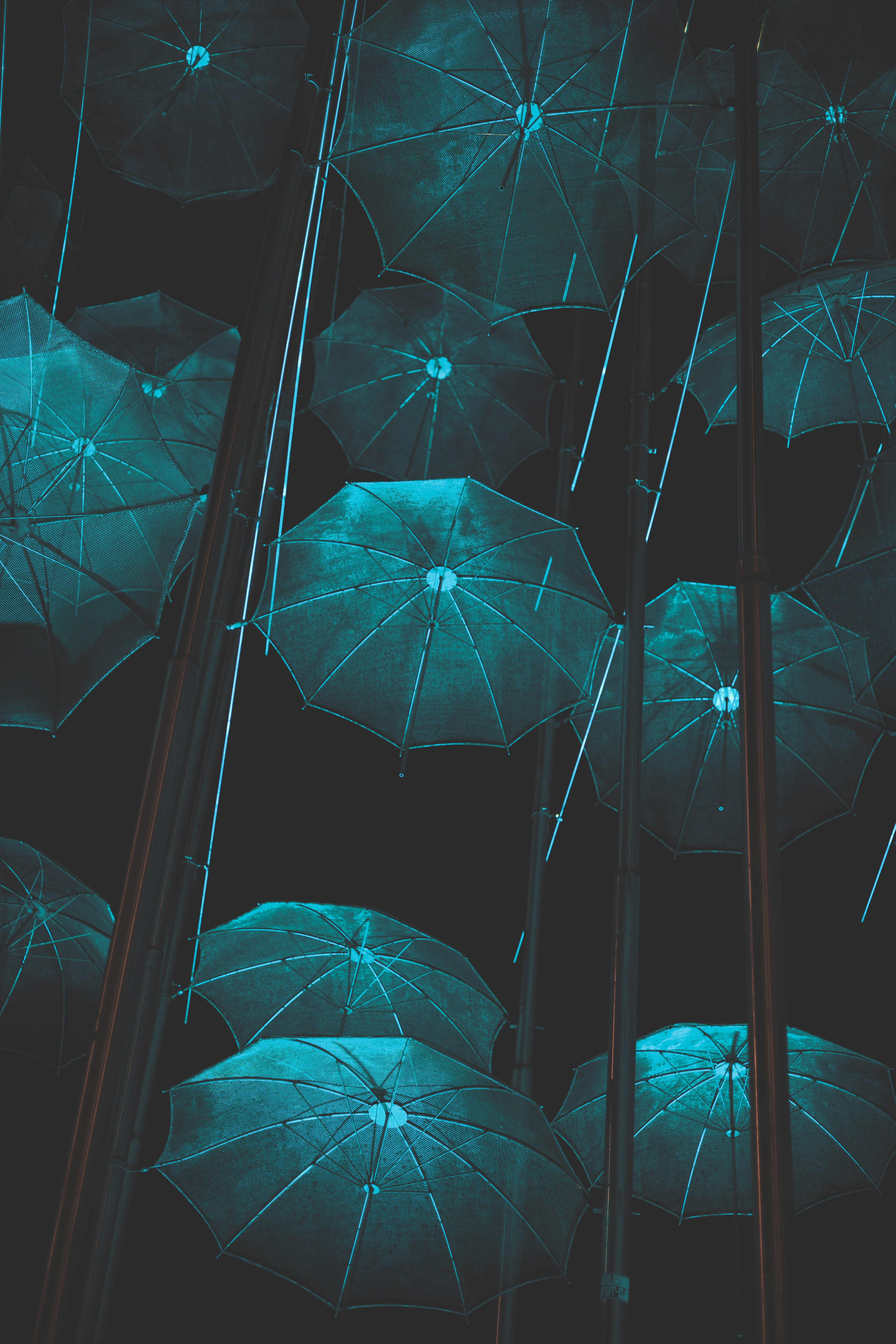 Many teal umbrellas hanging from above at night.