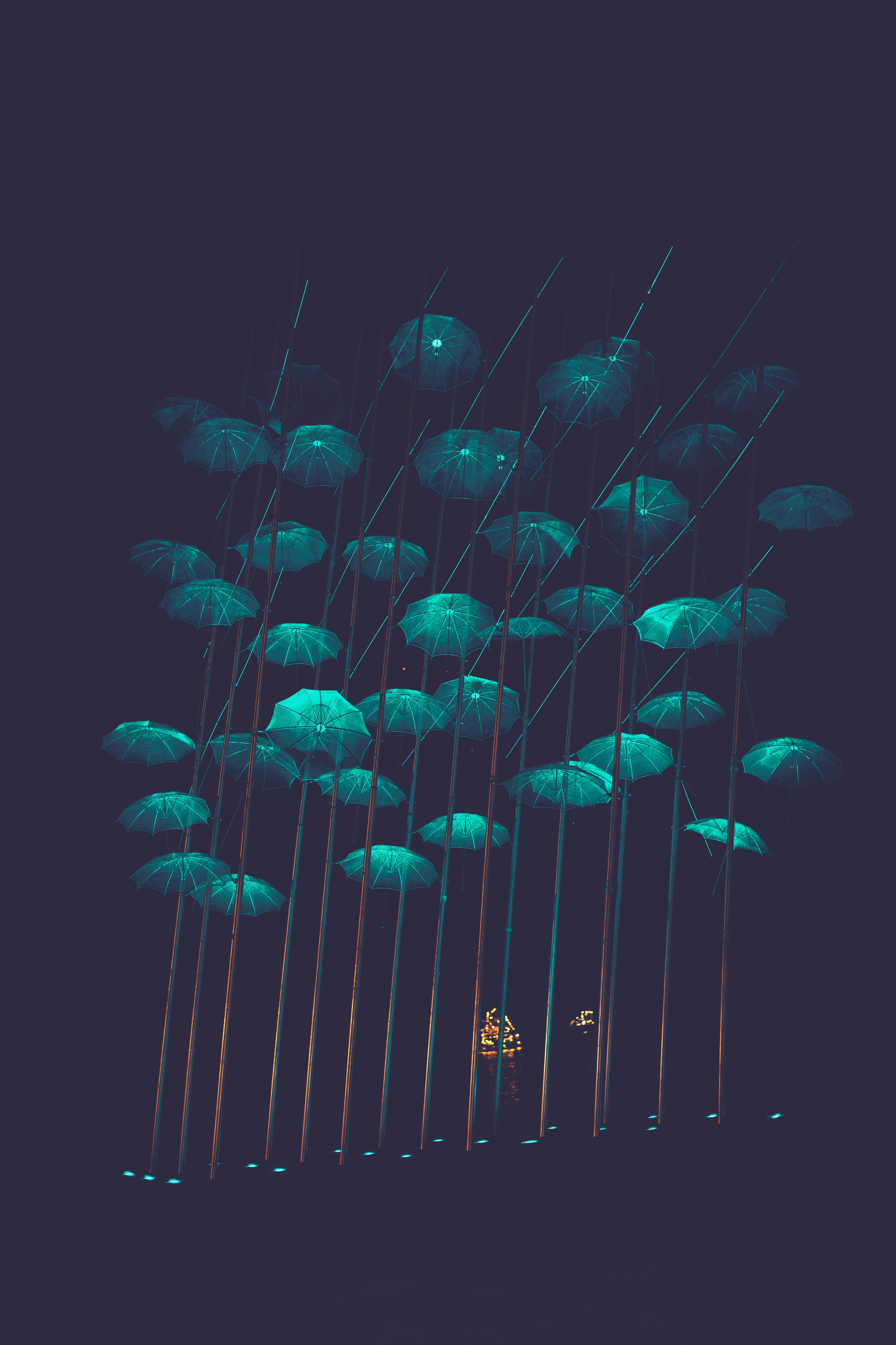 Glowing umbrellas suspended in dark night sky