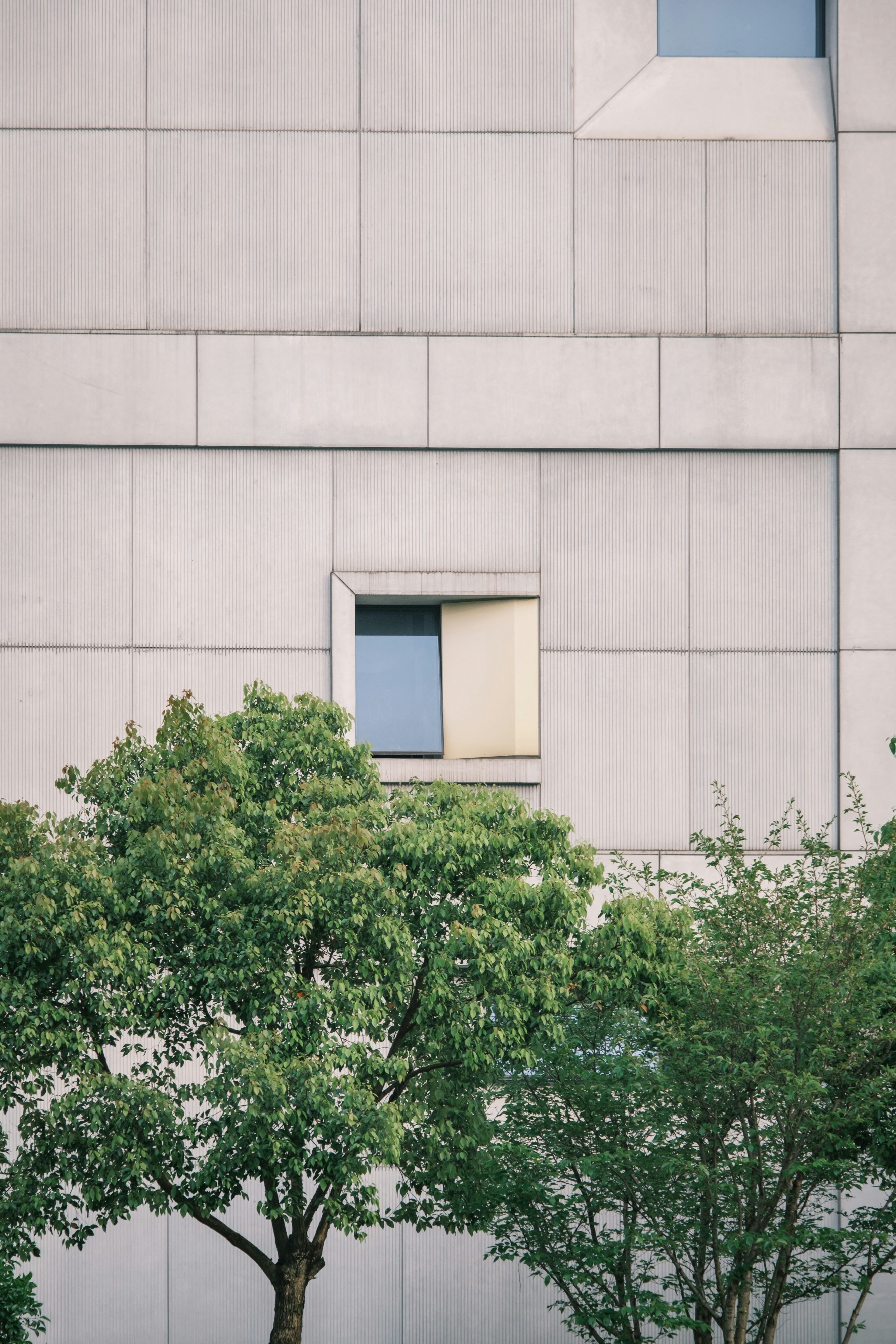 Photo by samuelwu