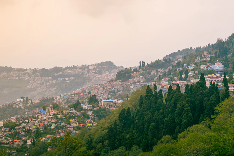 Best Romantic Dinner Spots in Darjeeling for a Night to Remember