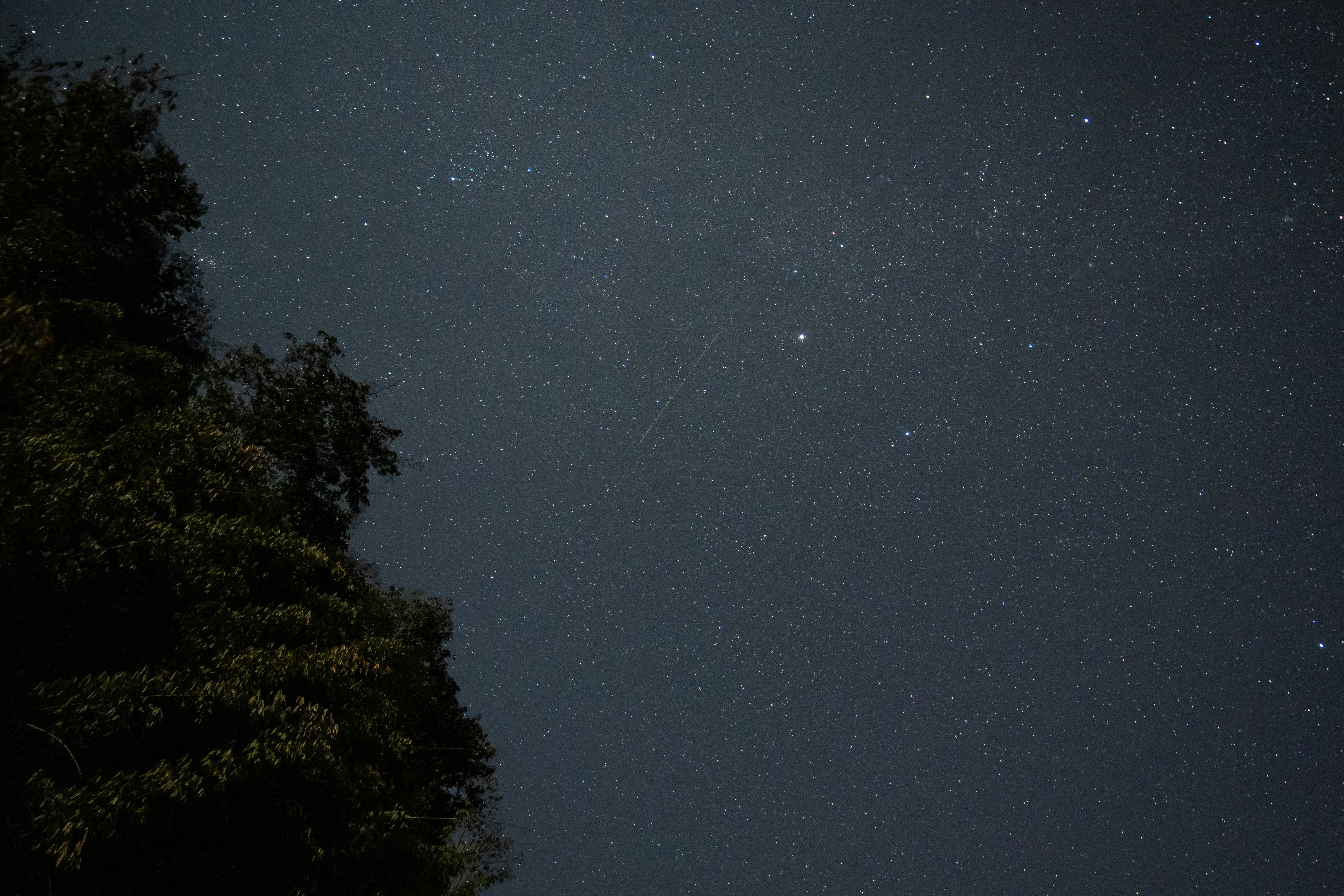 A dark sky filled with countless bright stars.