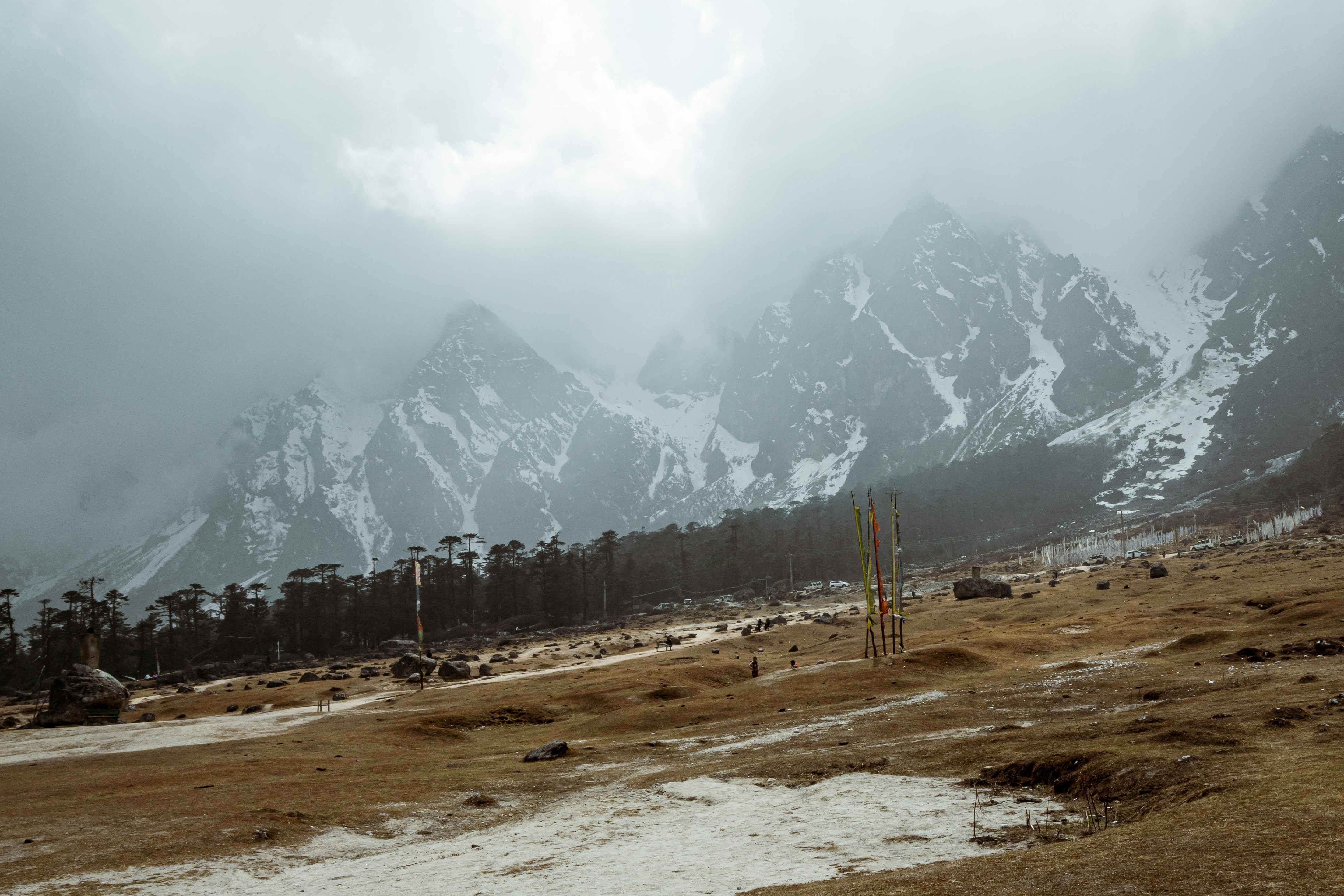 Yumthang Valley in full rhododendron bloom North Sikkim India adventure tour