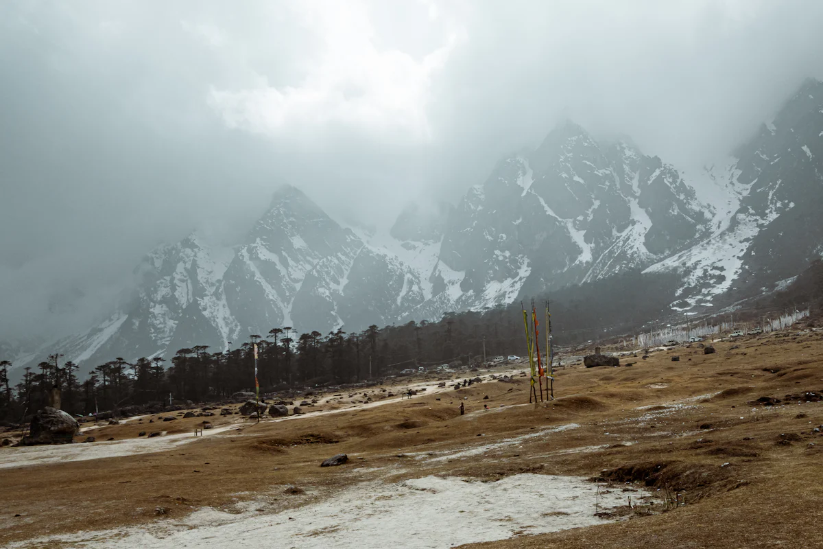 Yumthang Valley