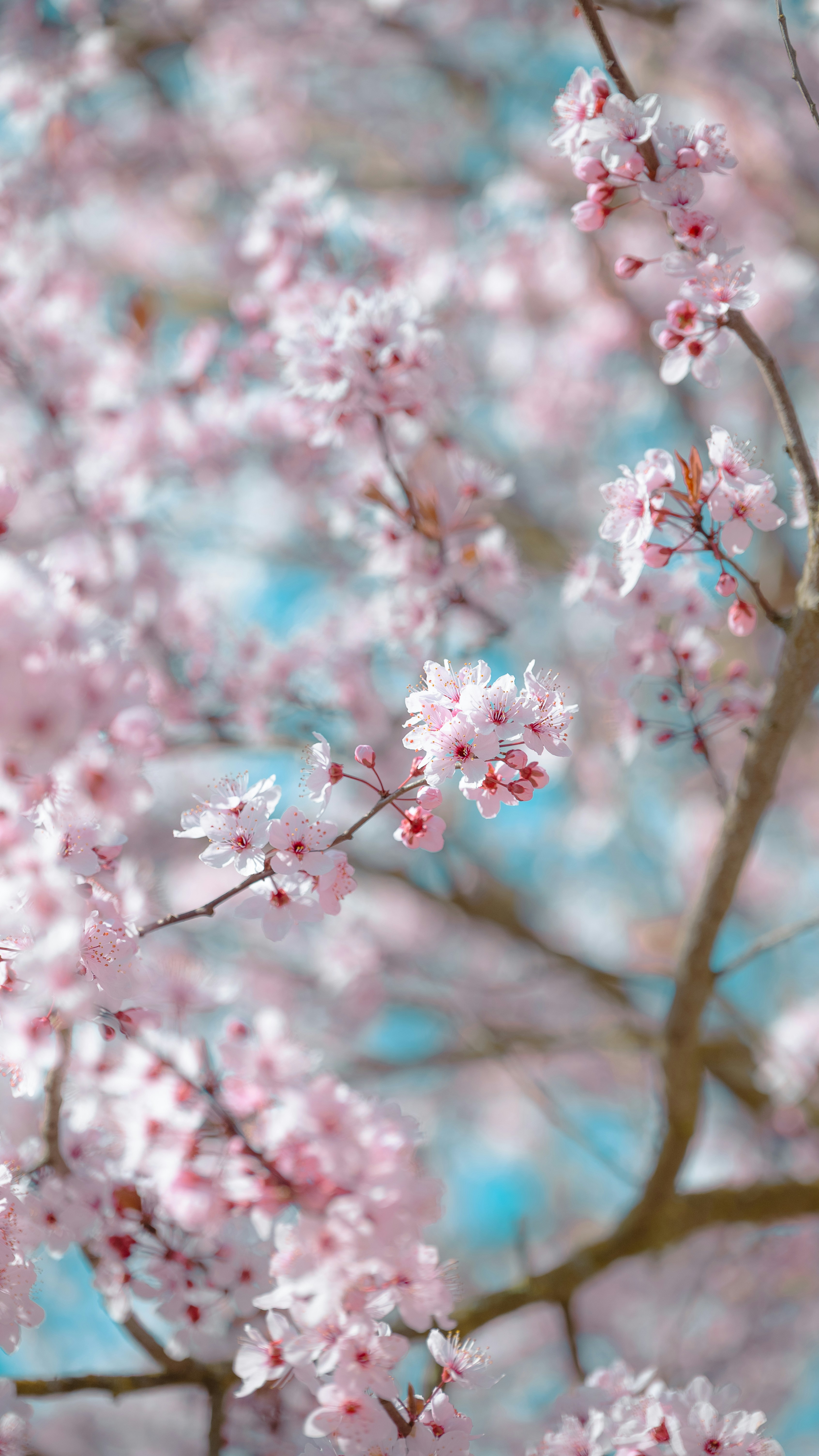 Photo by jetztabertempo