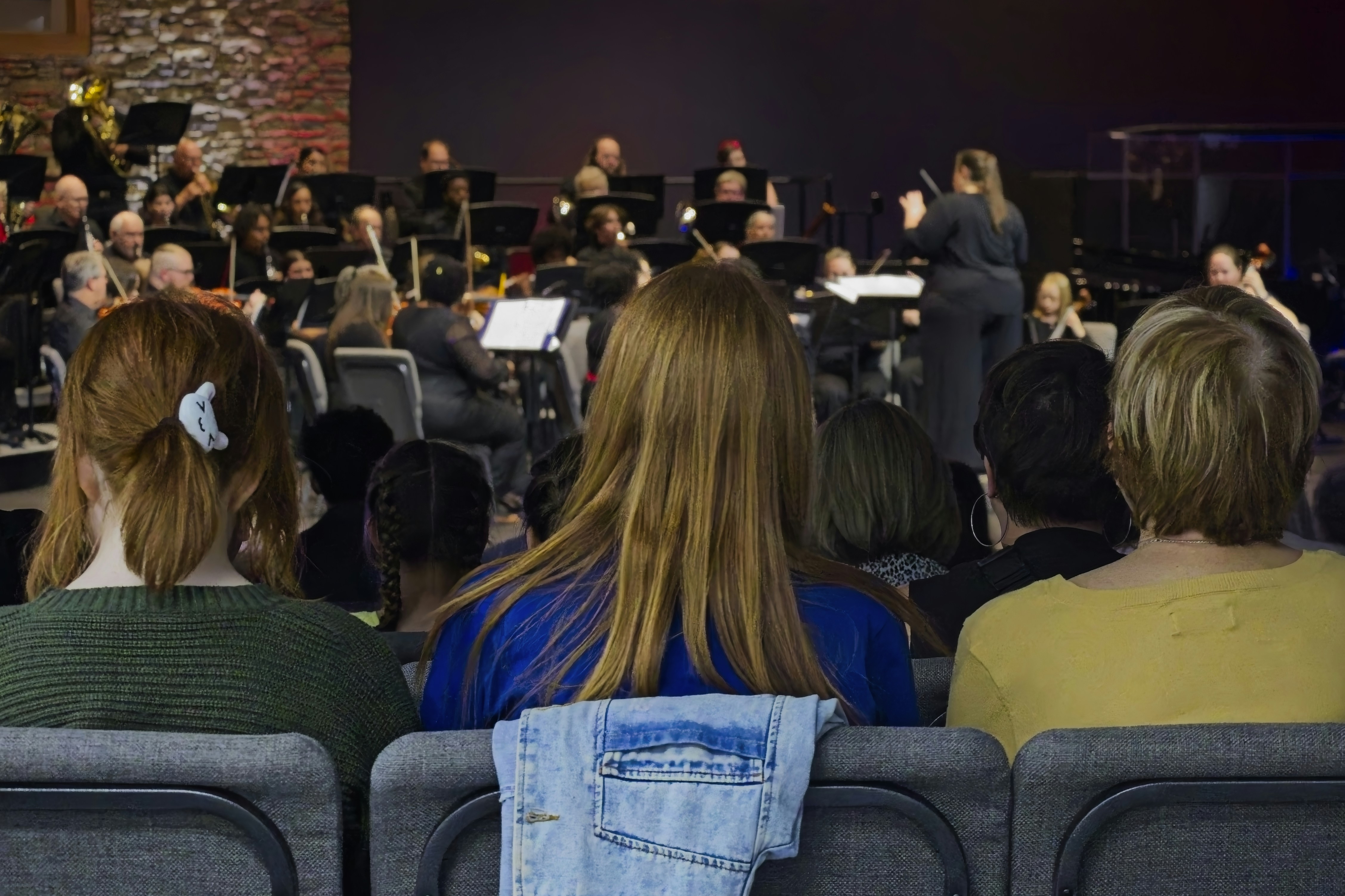 Il pubblico assiste all'esecuzione dell'orchestra sul palco.