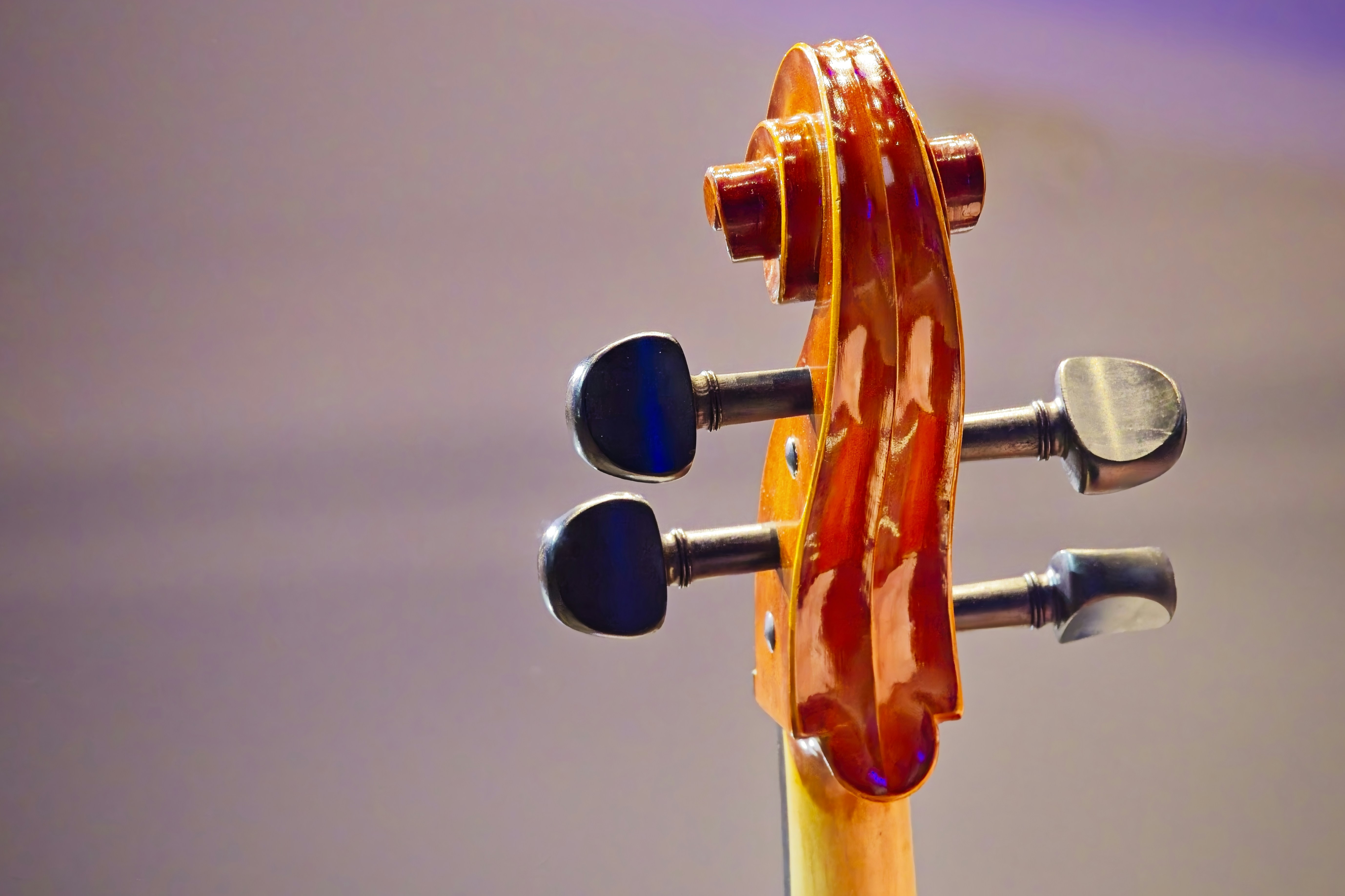 A cello scroll and tuning machines.
