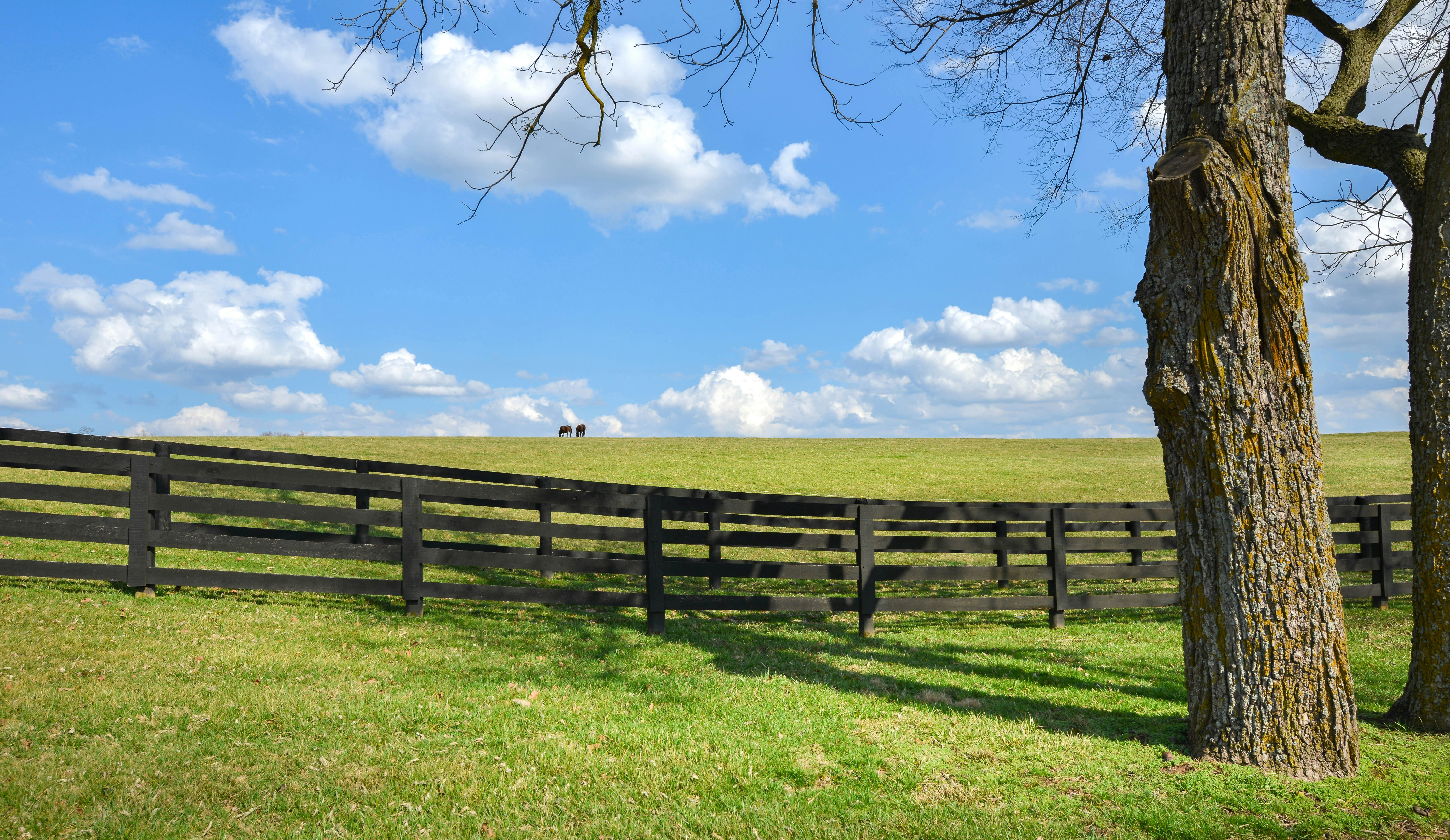 Wooden fence in a green field under blue sky