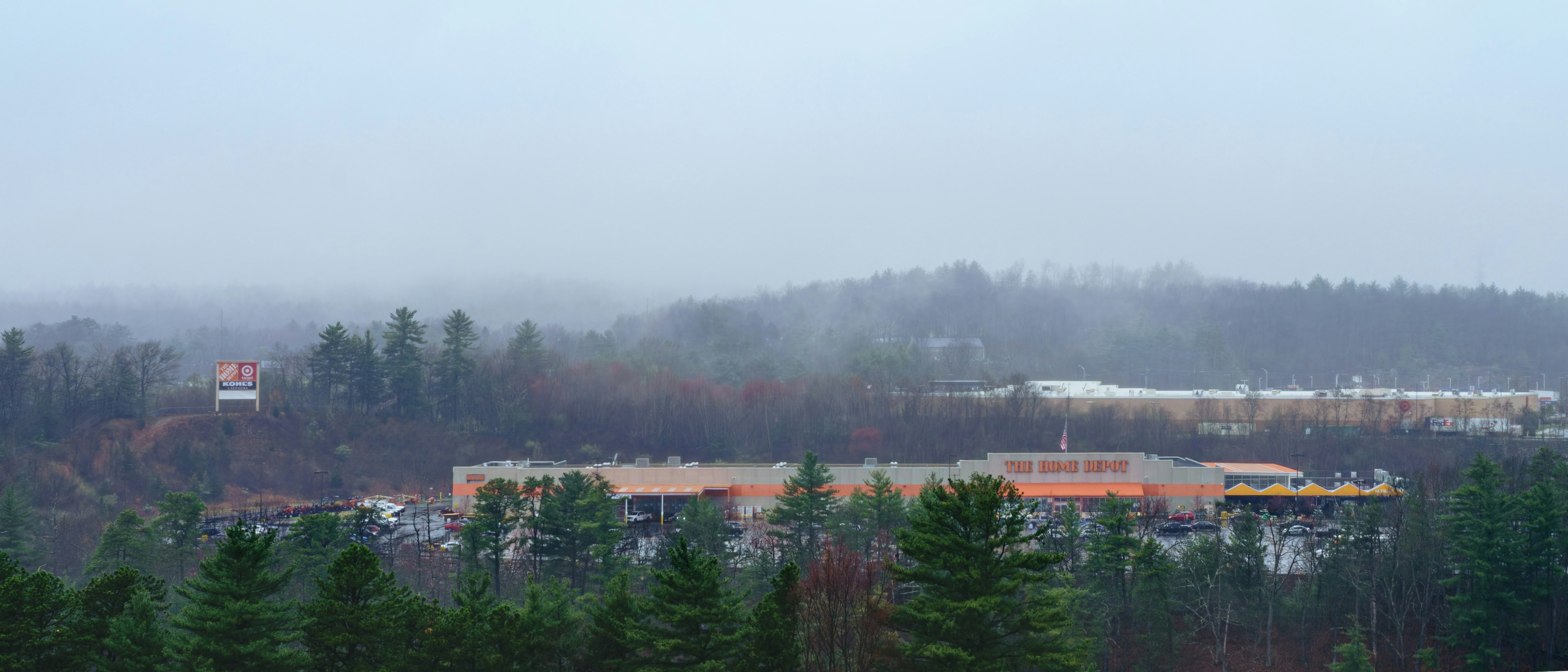 Buildings nestled among trees on a foggy day.