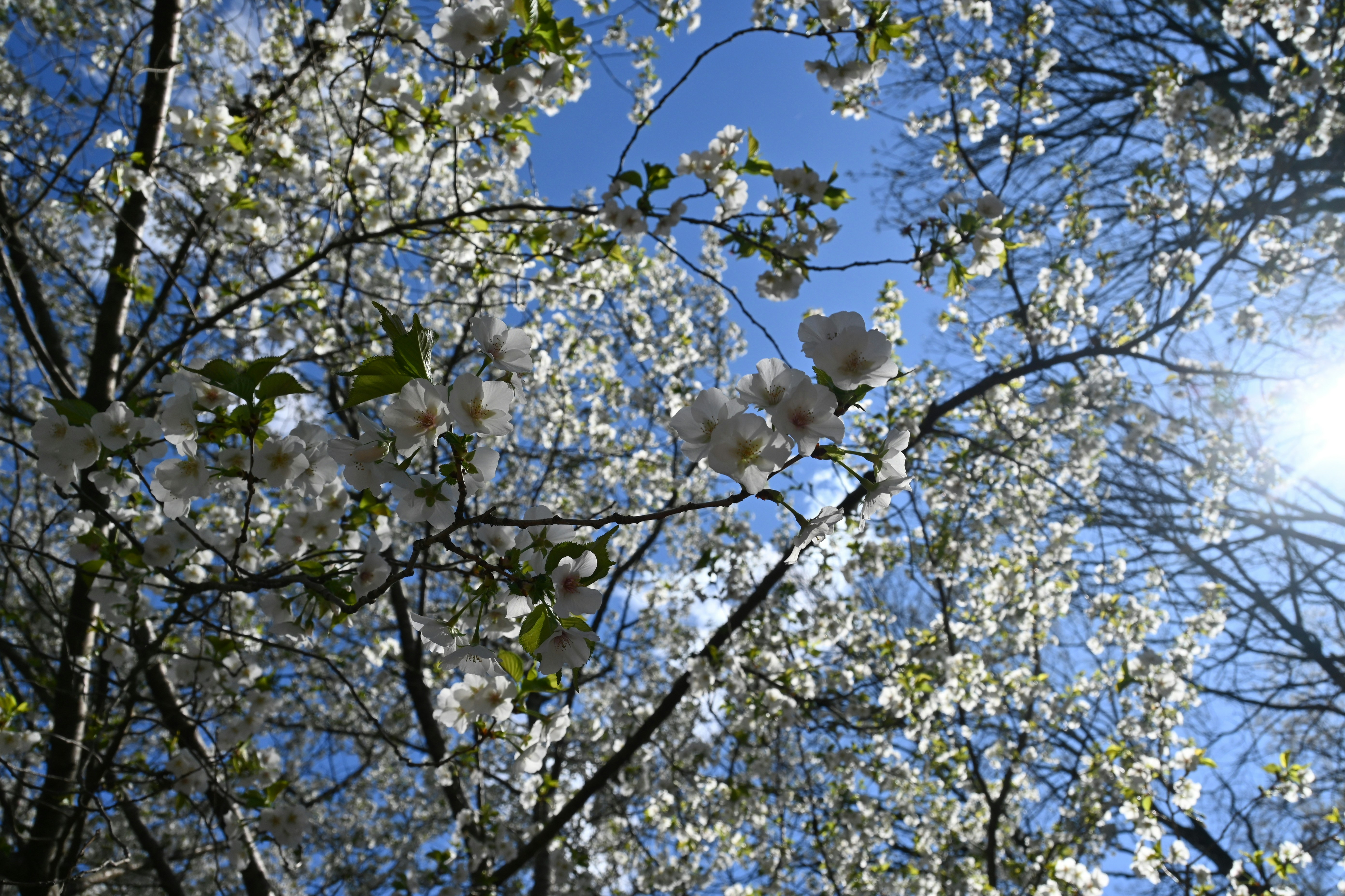 Photo by karolinabobek