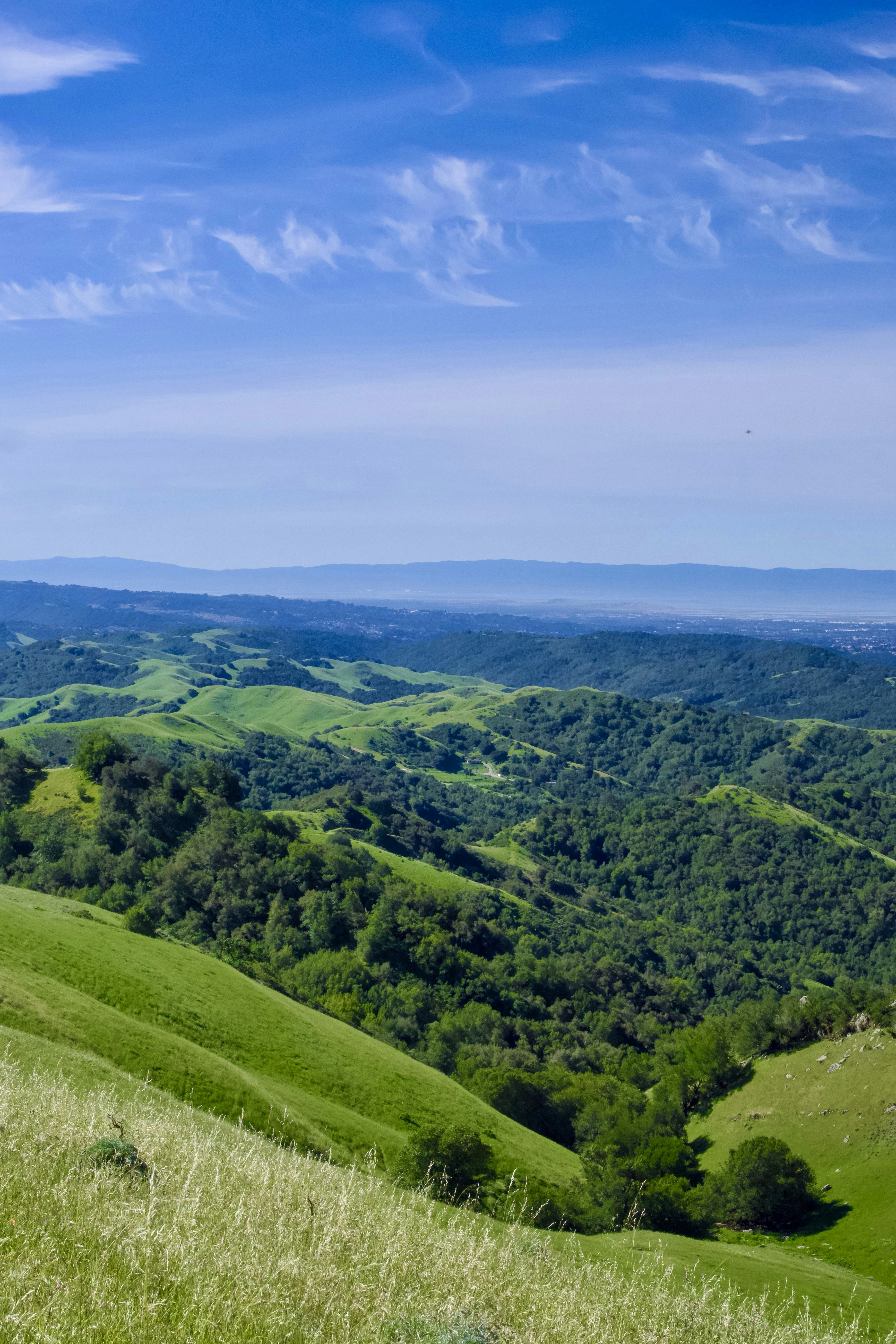 Lush green rolling hills under a bright blue sky.