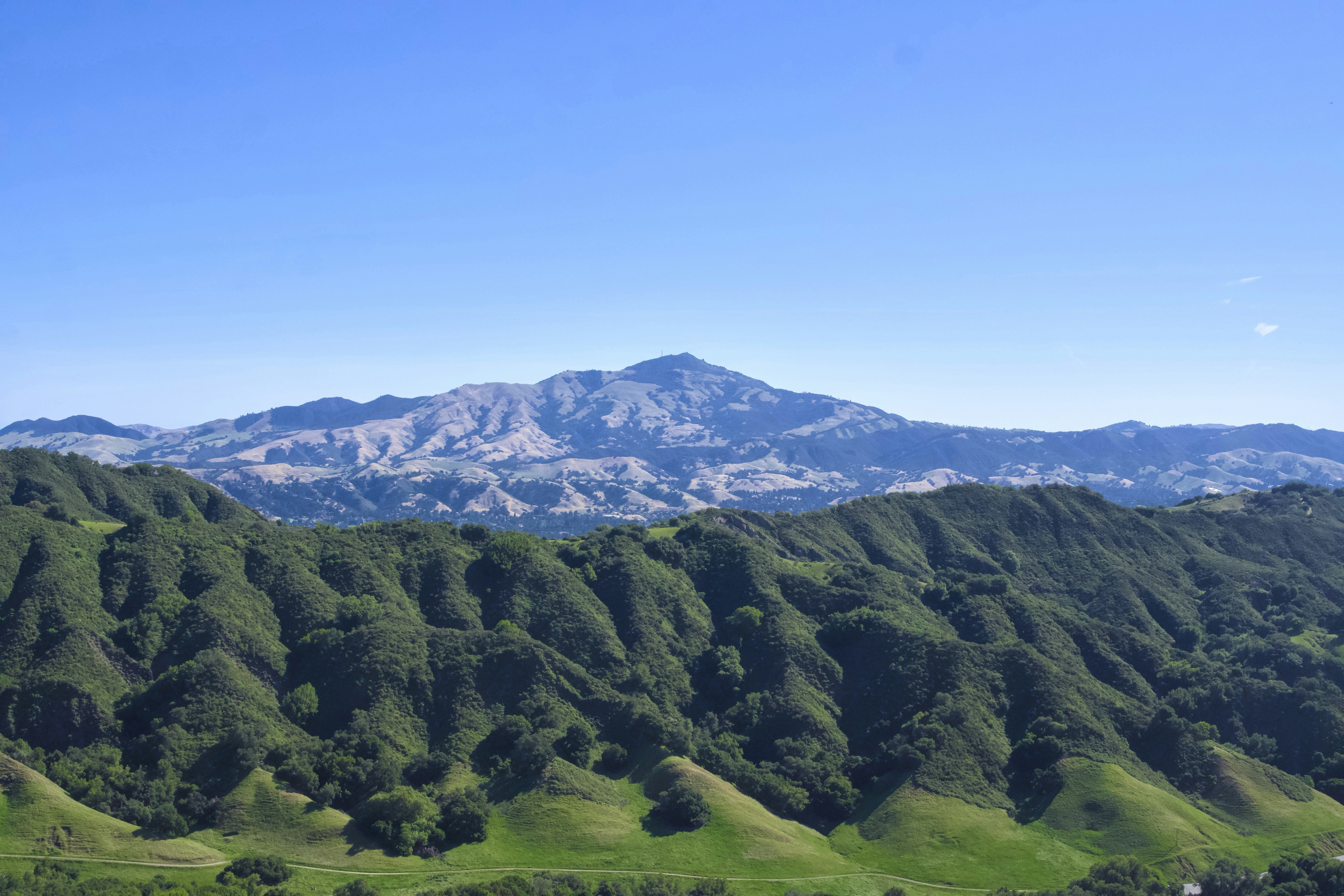 Rolling green hills with a distant mountain range.