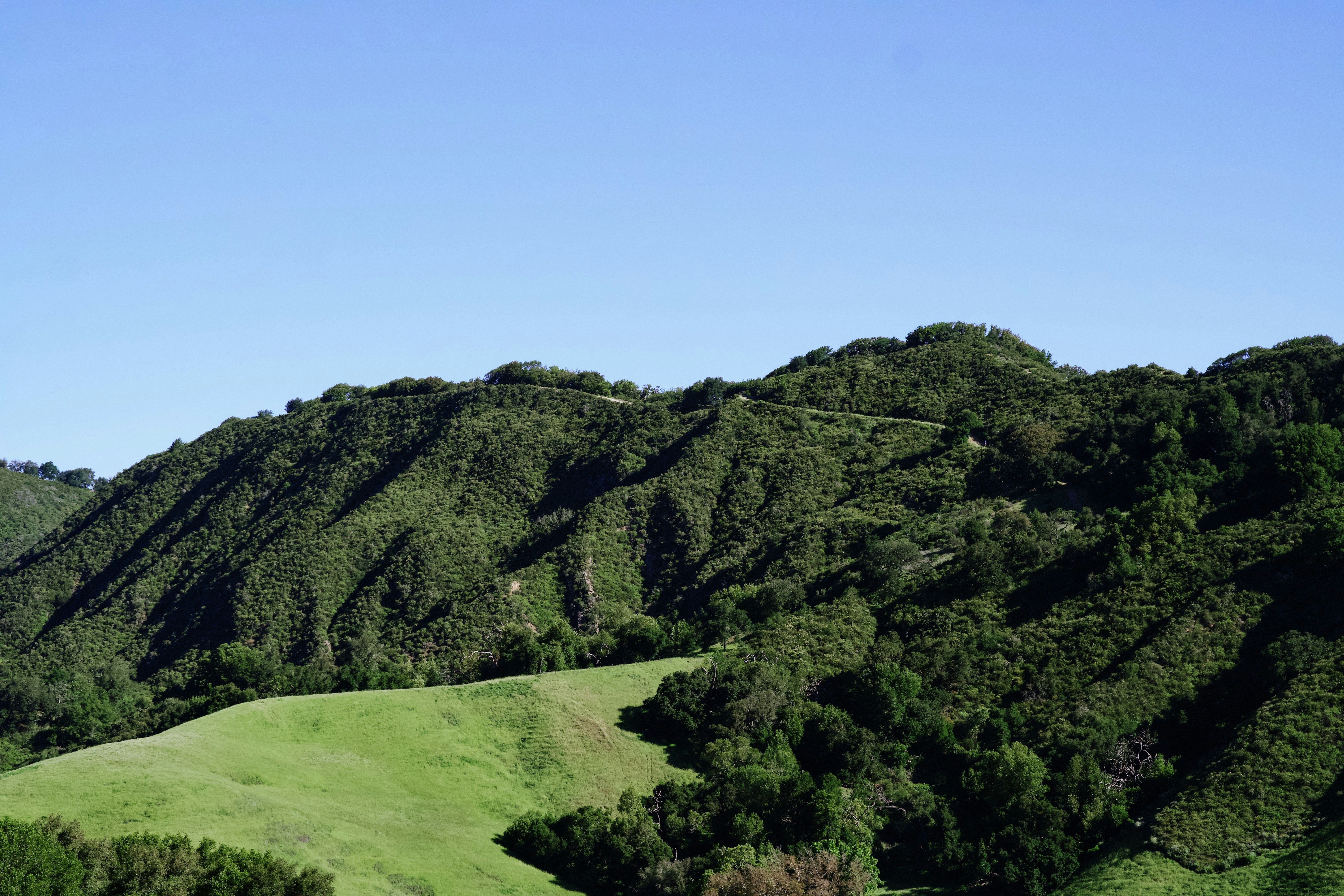 Lush green hills under a clear blue sky