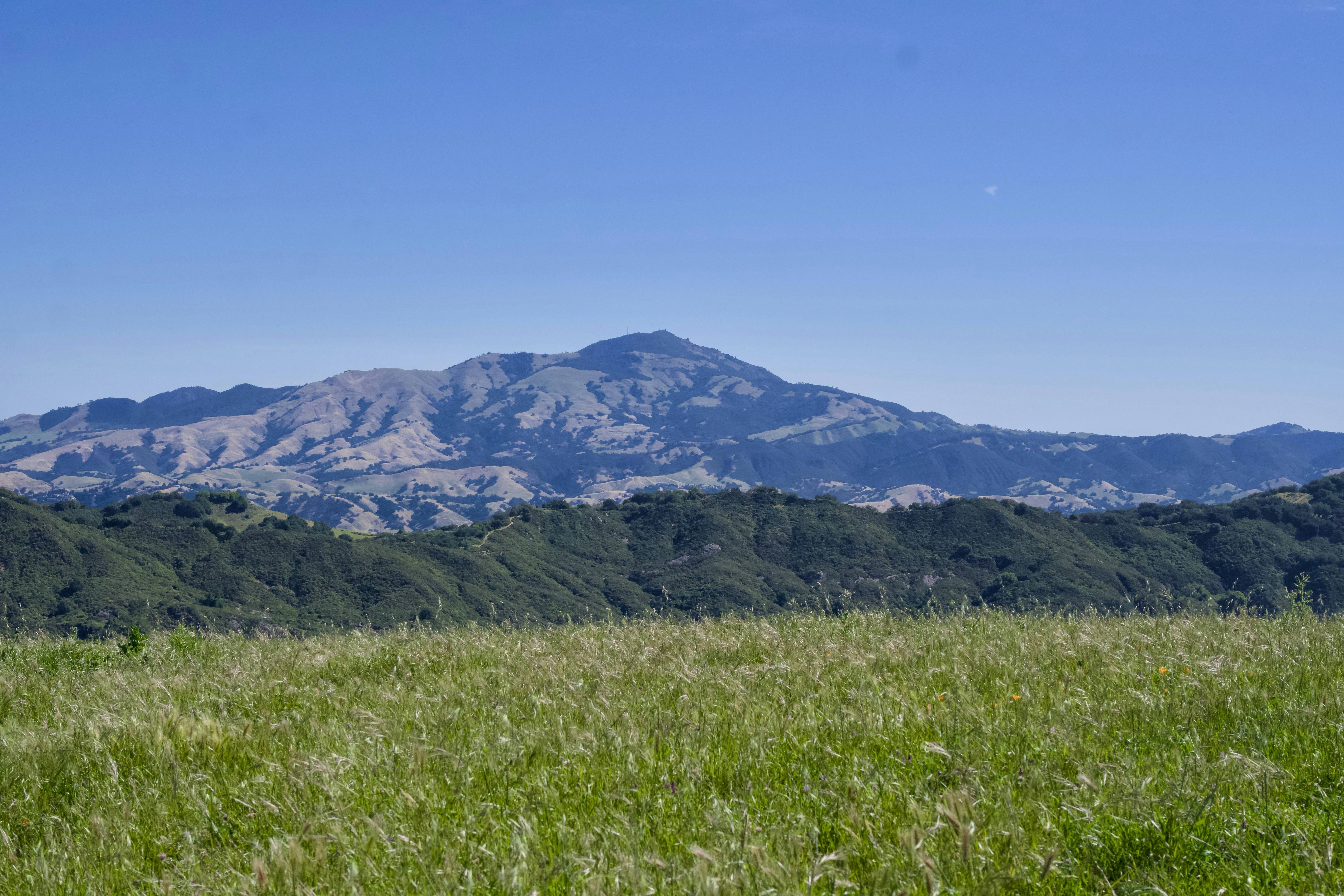 Grassy field with rolling hills and distant mountains.