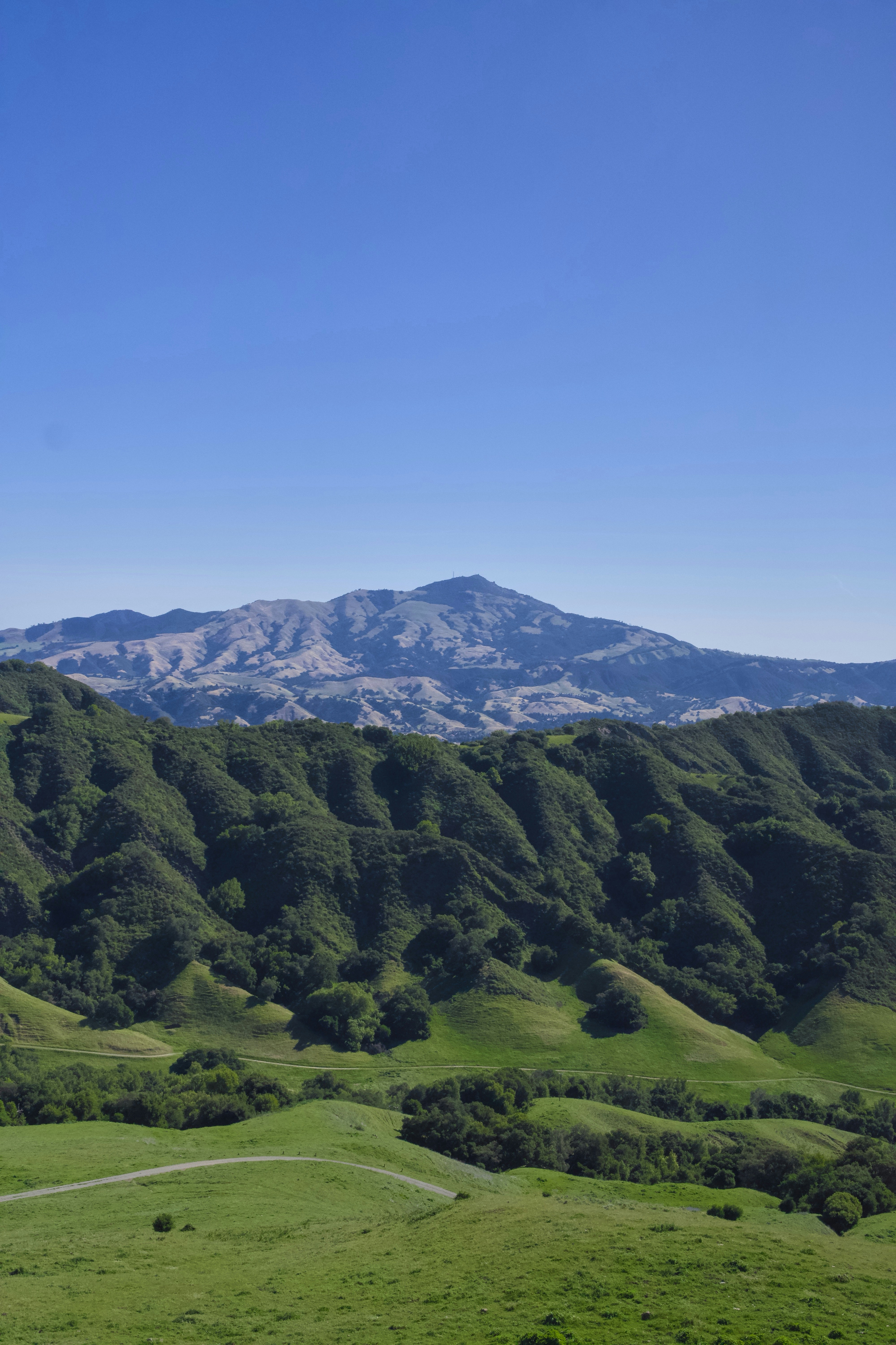 Green rolling hills under a clear blue sky.