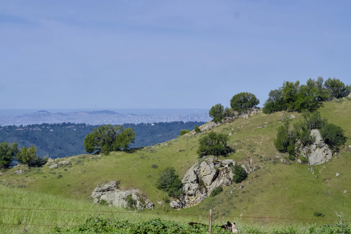 Portola Valley