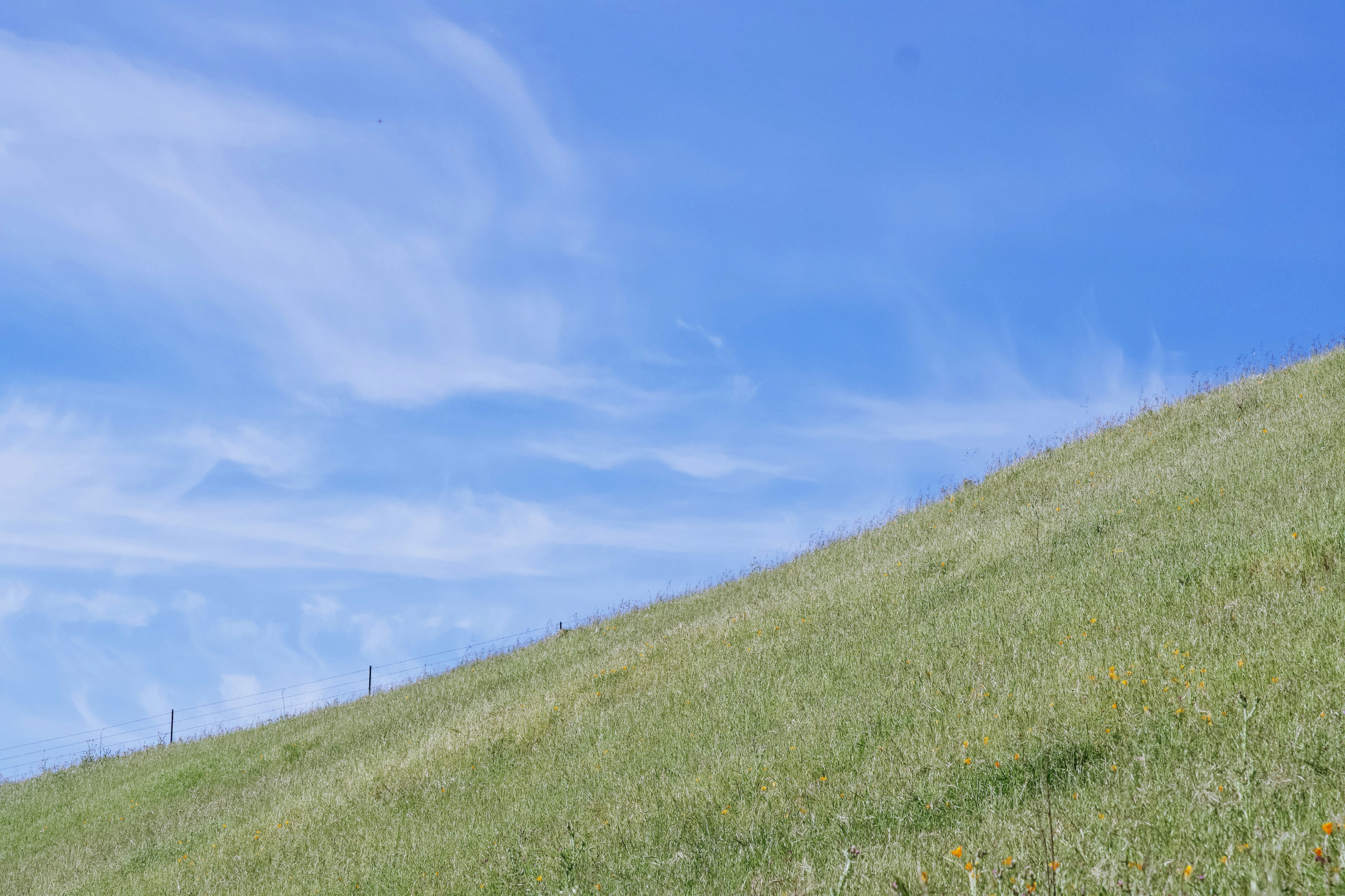Grassy hill under a bright blue sky