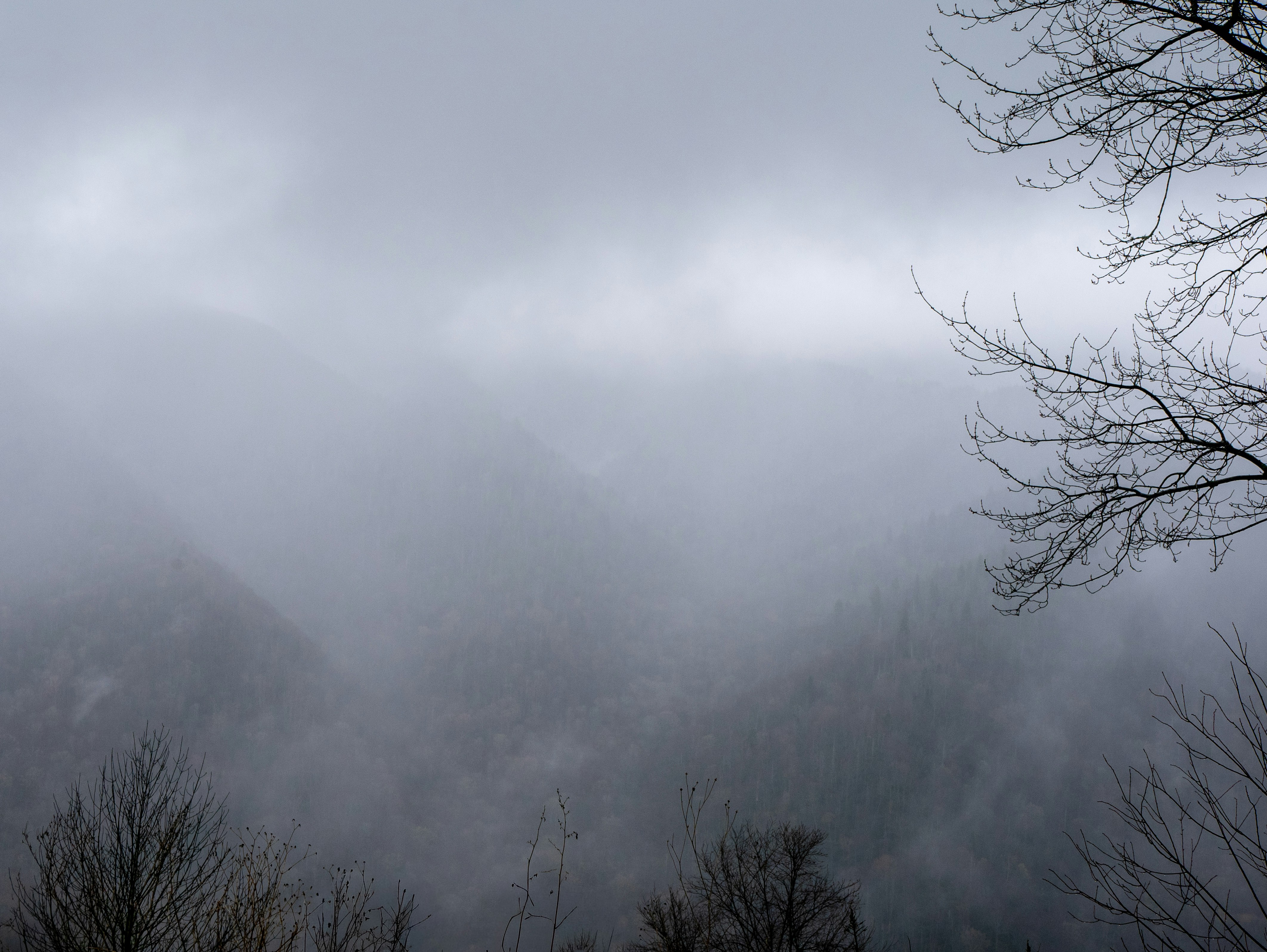Photo by macaollarzu