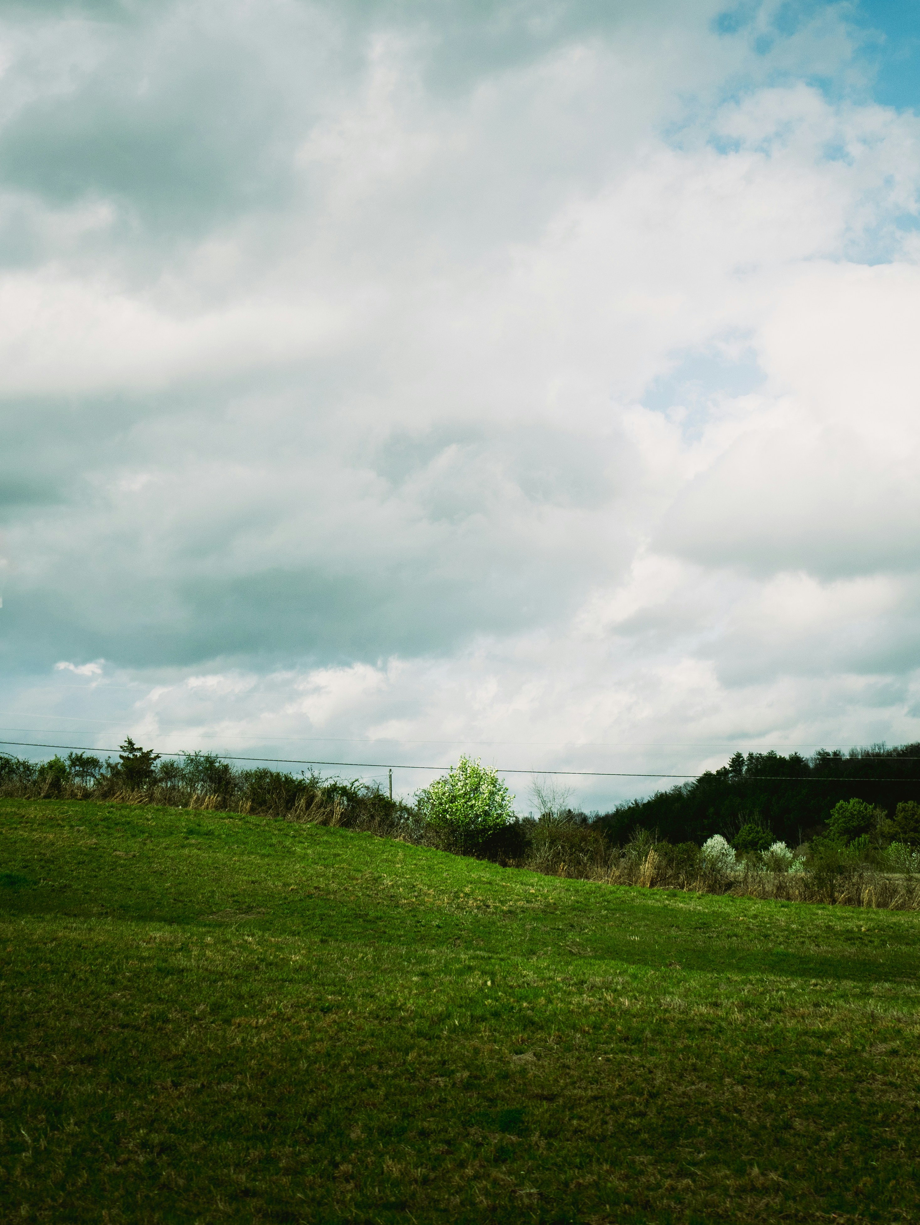 Photo by macaollarzu