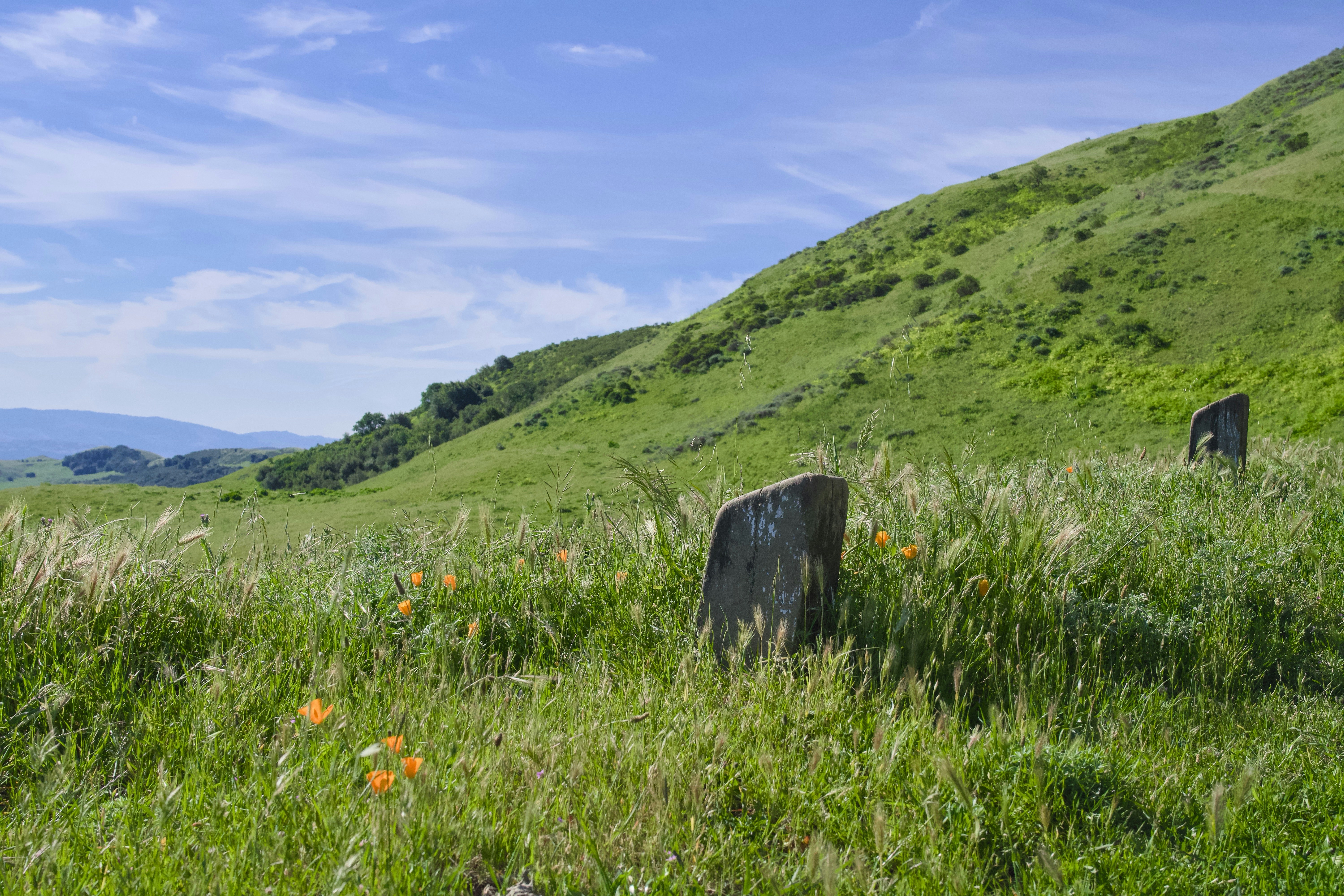Two standing stones in a grassy field under blue sky