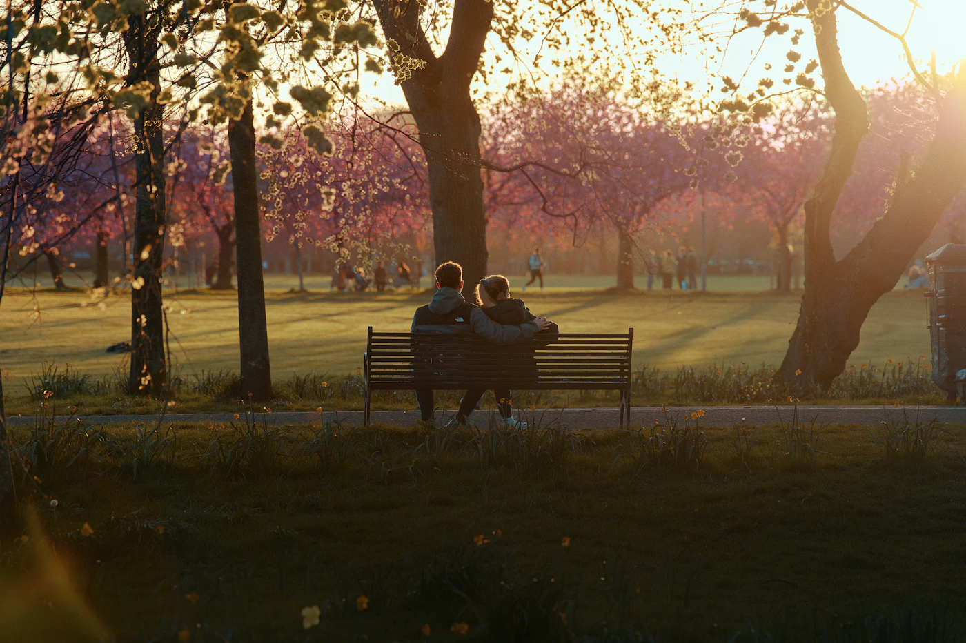 Couple seated close together on a park bench at warm golden sunset with soft backlight around them