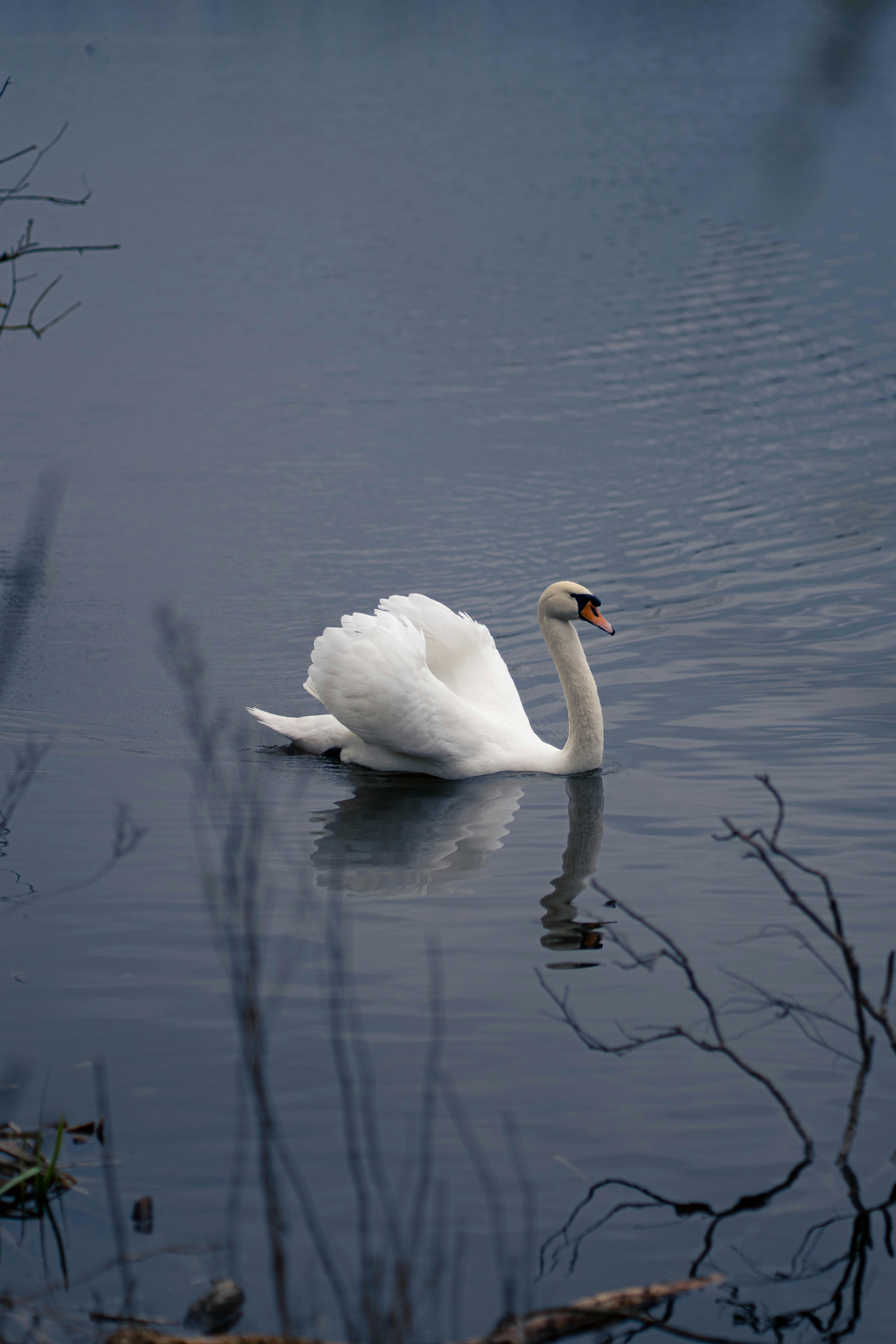 Photo by omikron