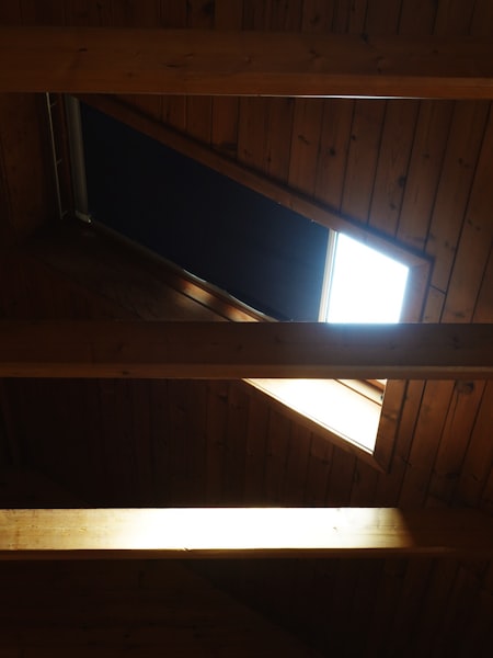 施工事例: 漆喰と無垢材の平屋