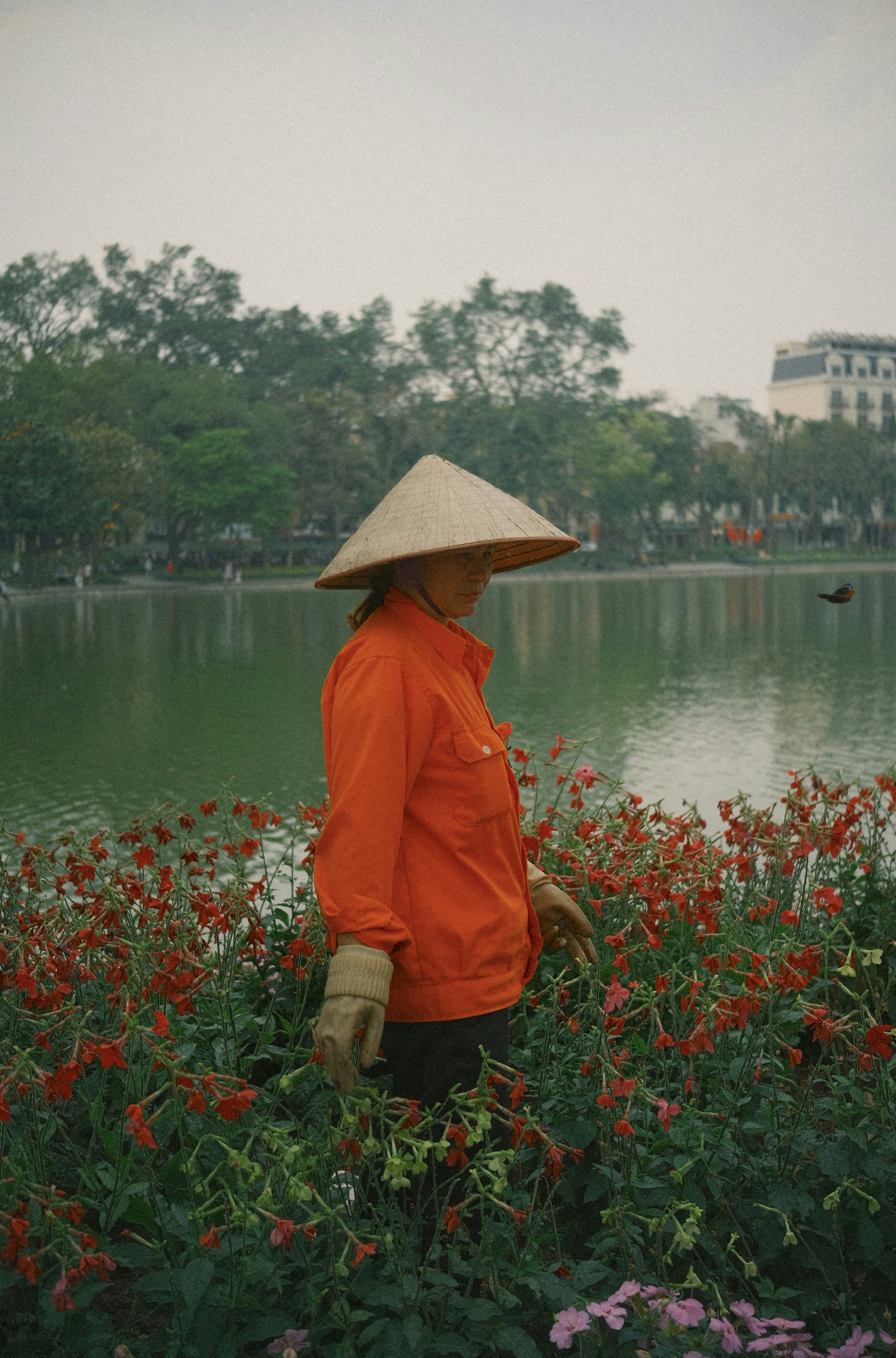 Giardiniere con cappello conico che cura fiori rossi vicino al lago