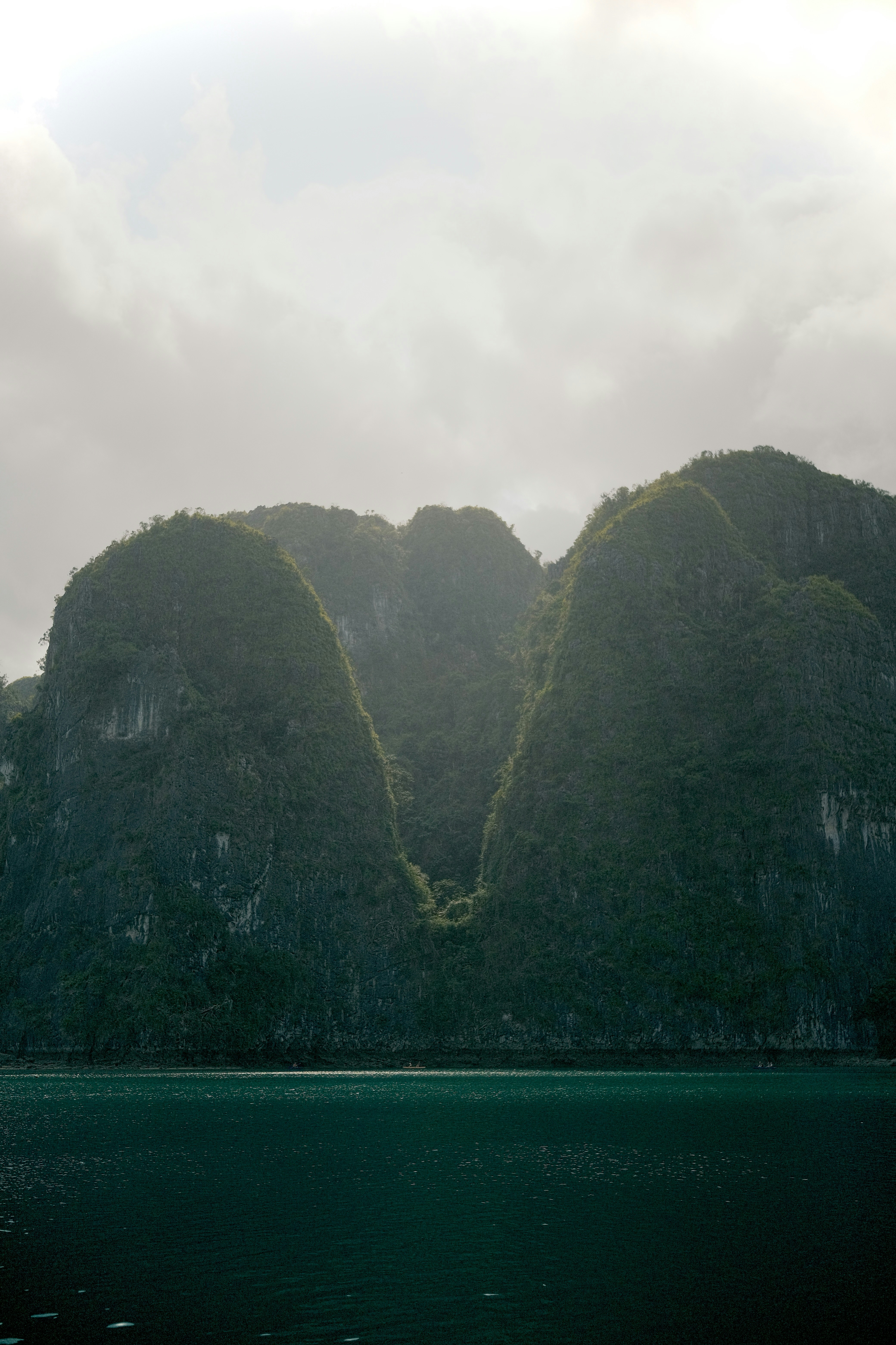 Isole carsiche verdi e rigogliosi si ergono da acque scure