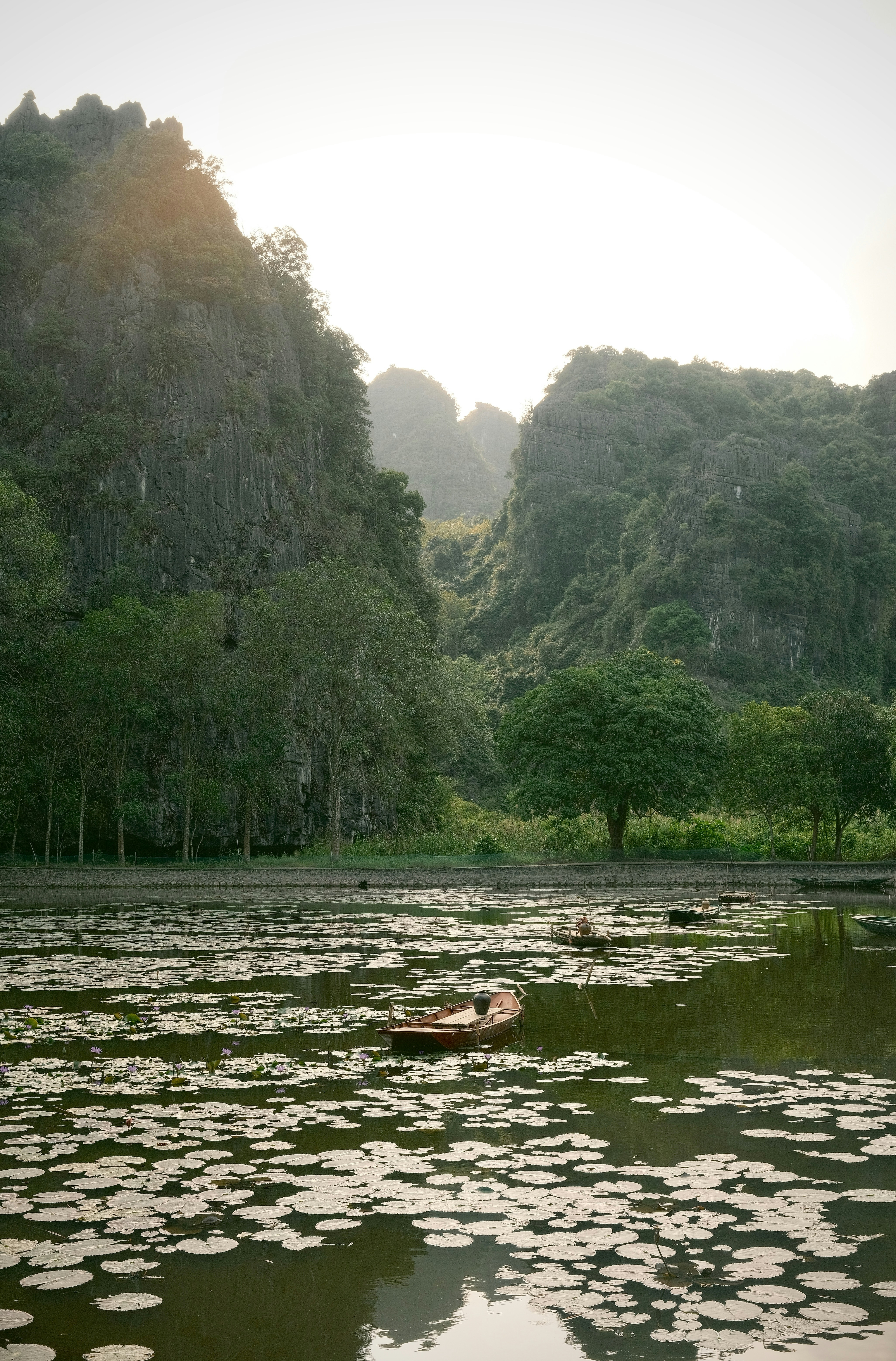 Una piccola barca galleggia su un lago coperto di ninfee.