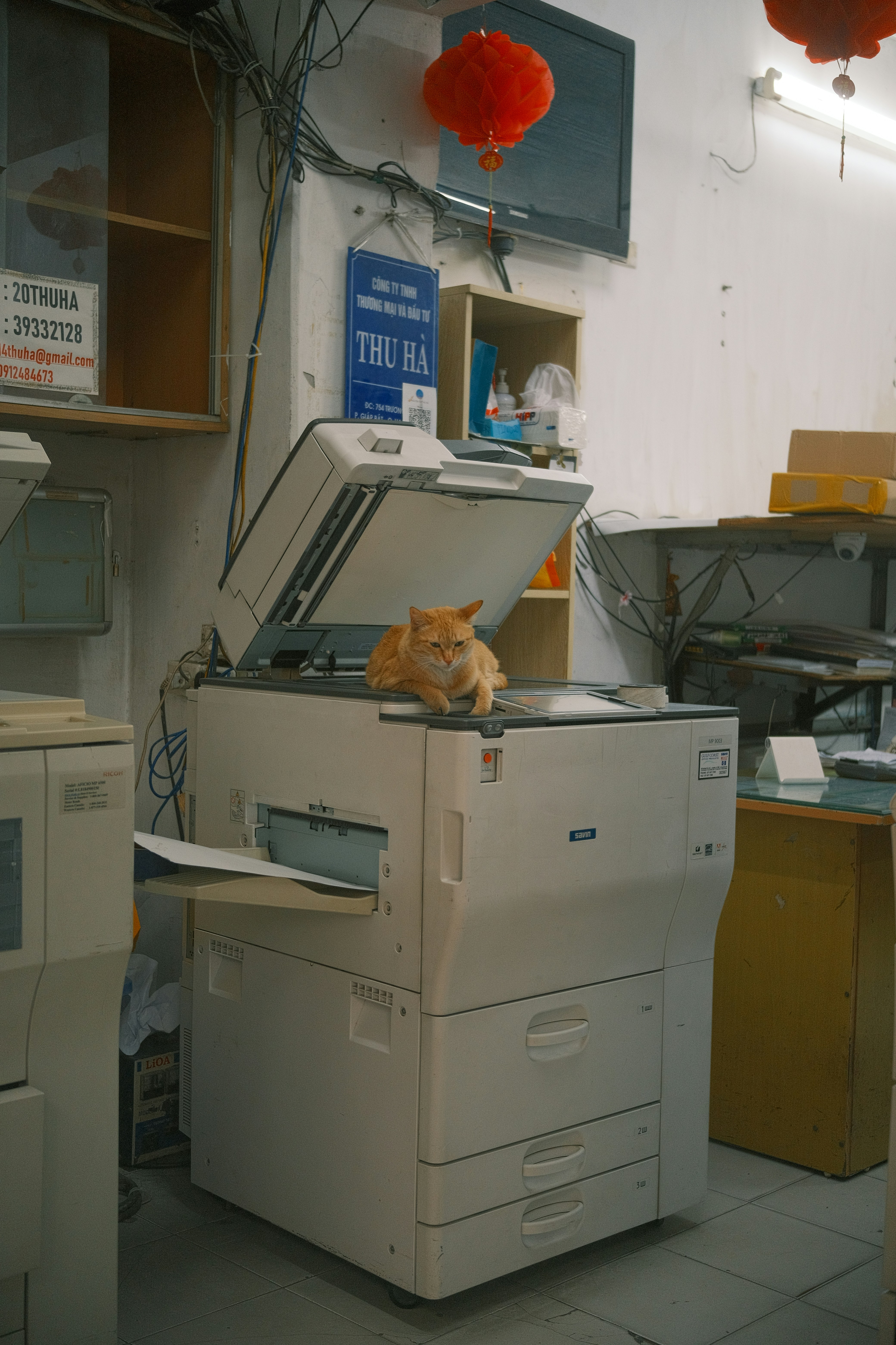 A ginger cat sits on top of a copier.