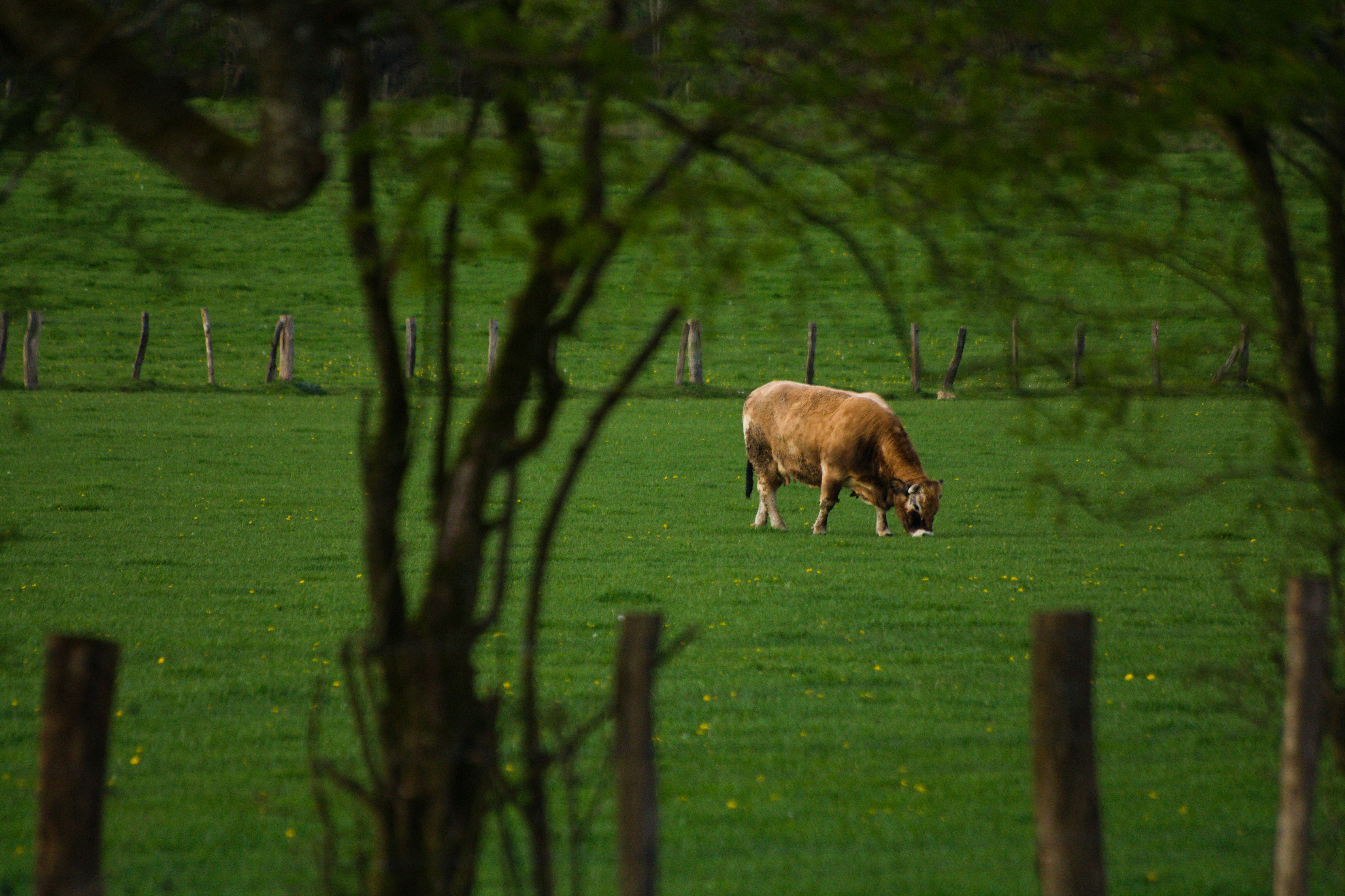 Indie Farmer documents farmer-led knowledge networks in High Weald