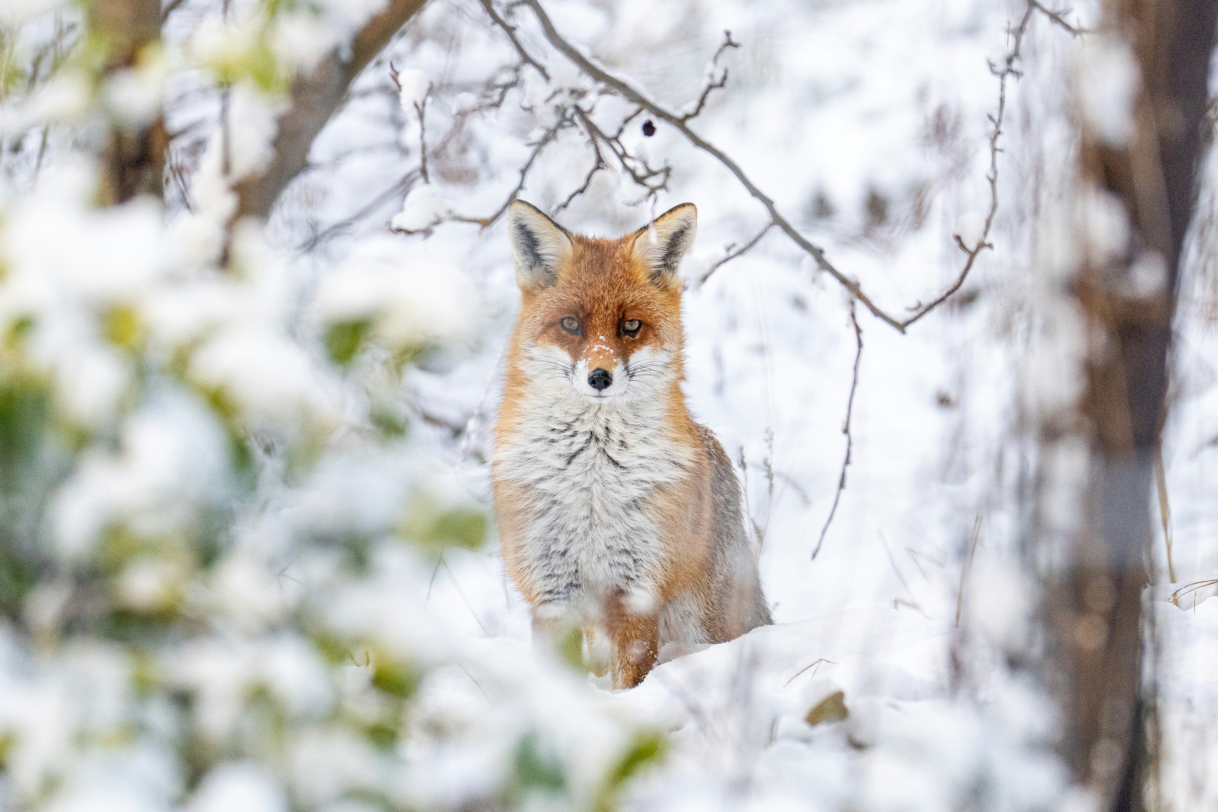 Photo by desigens