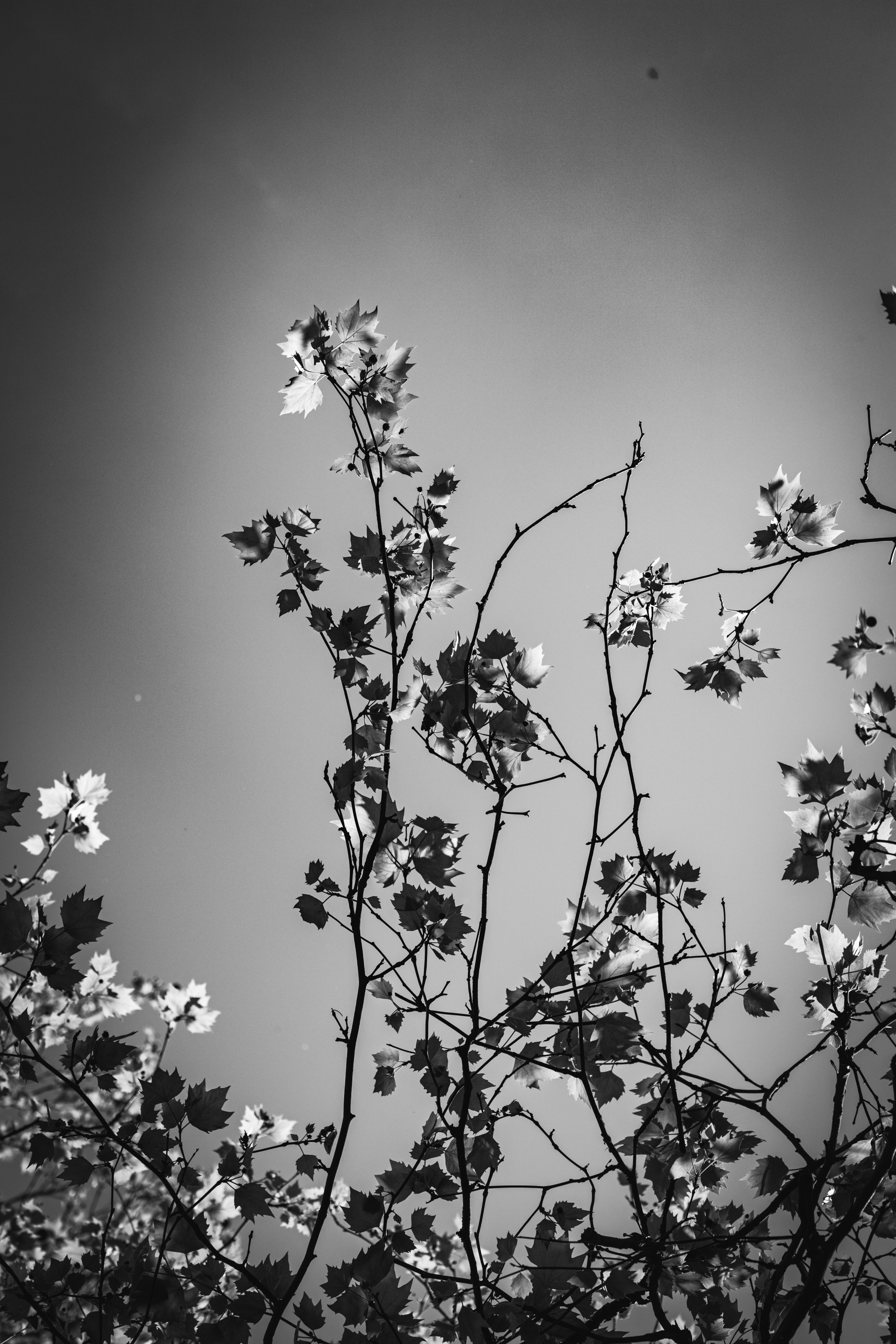 Photo by hdbernd