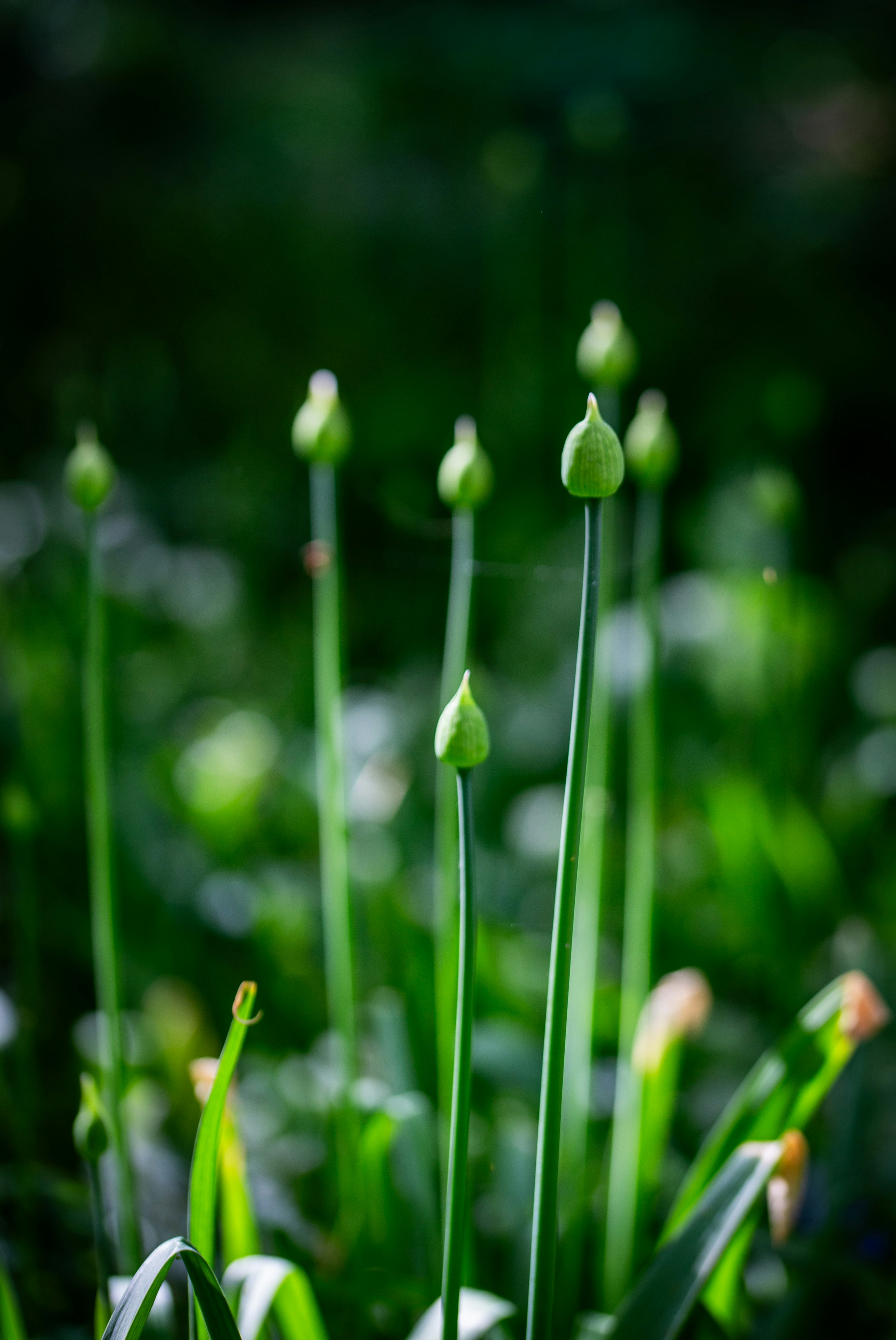 Photo by hdbernd
