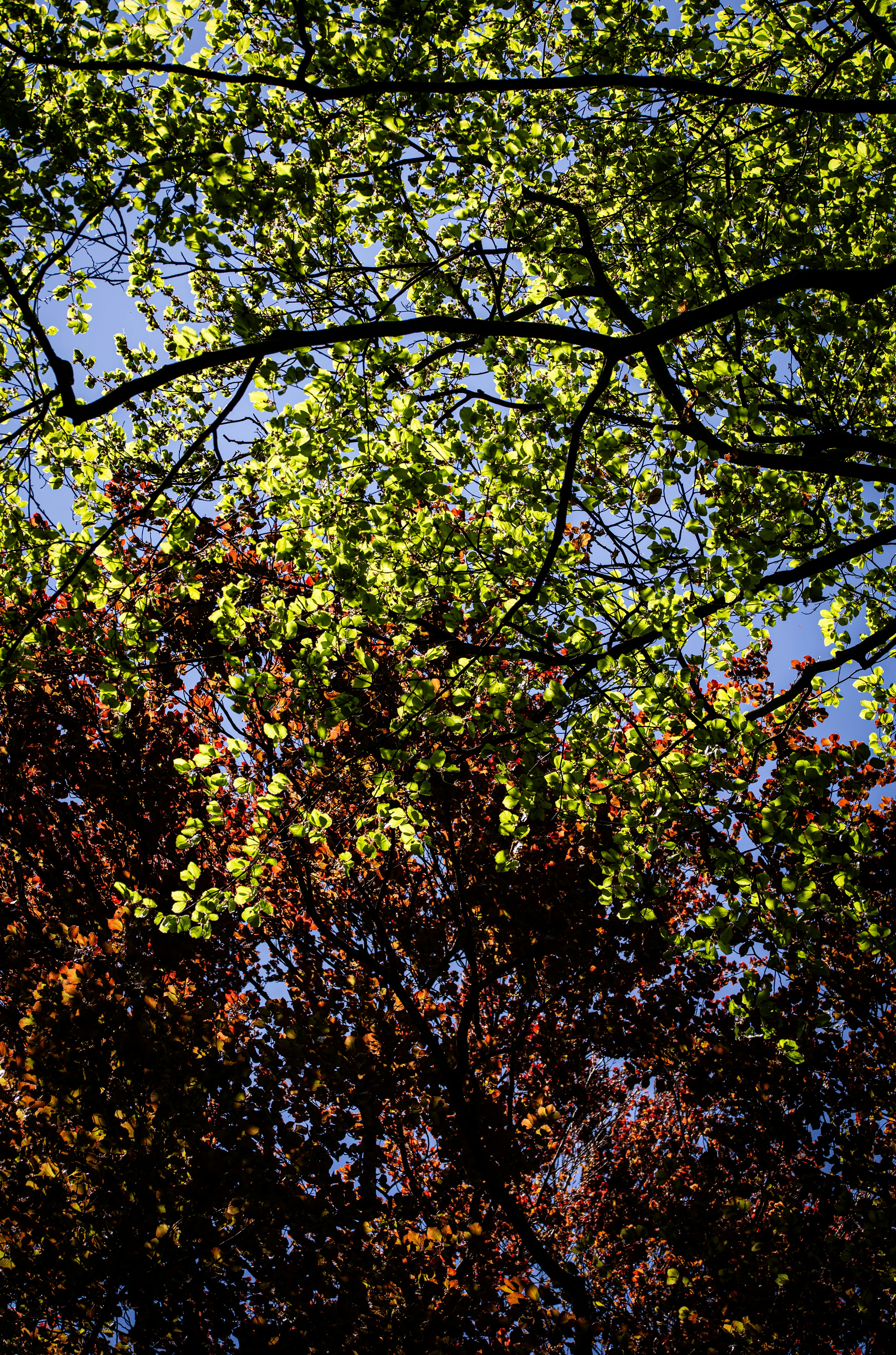 Photo by hdbernd