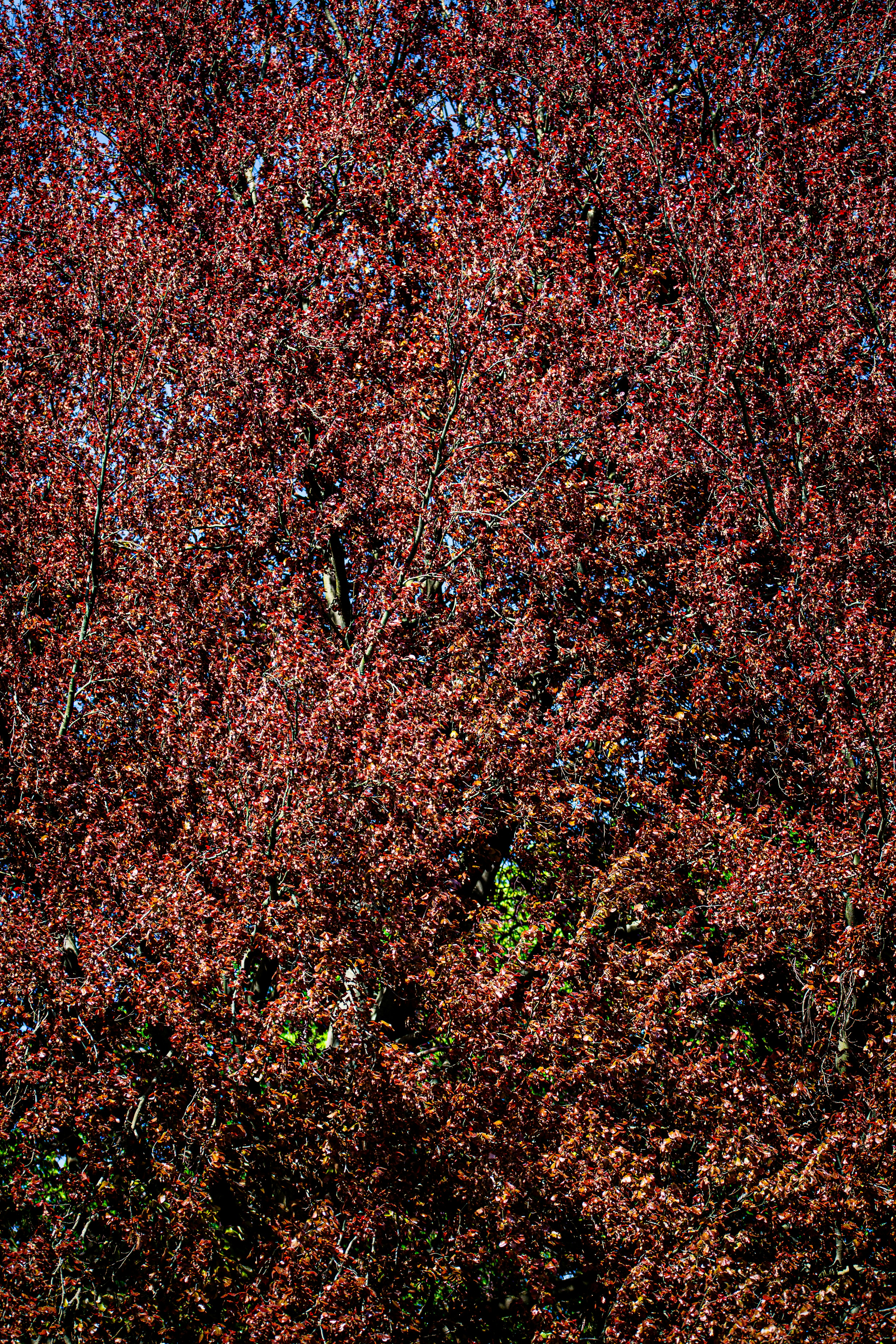 Photo by hdbernd
