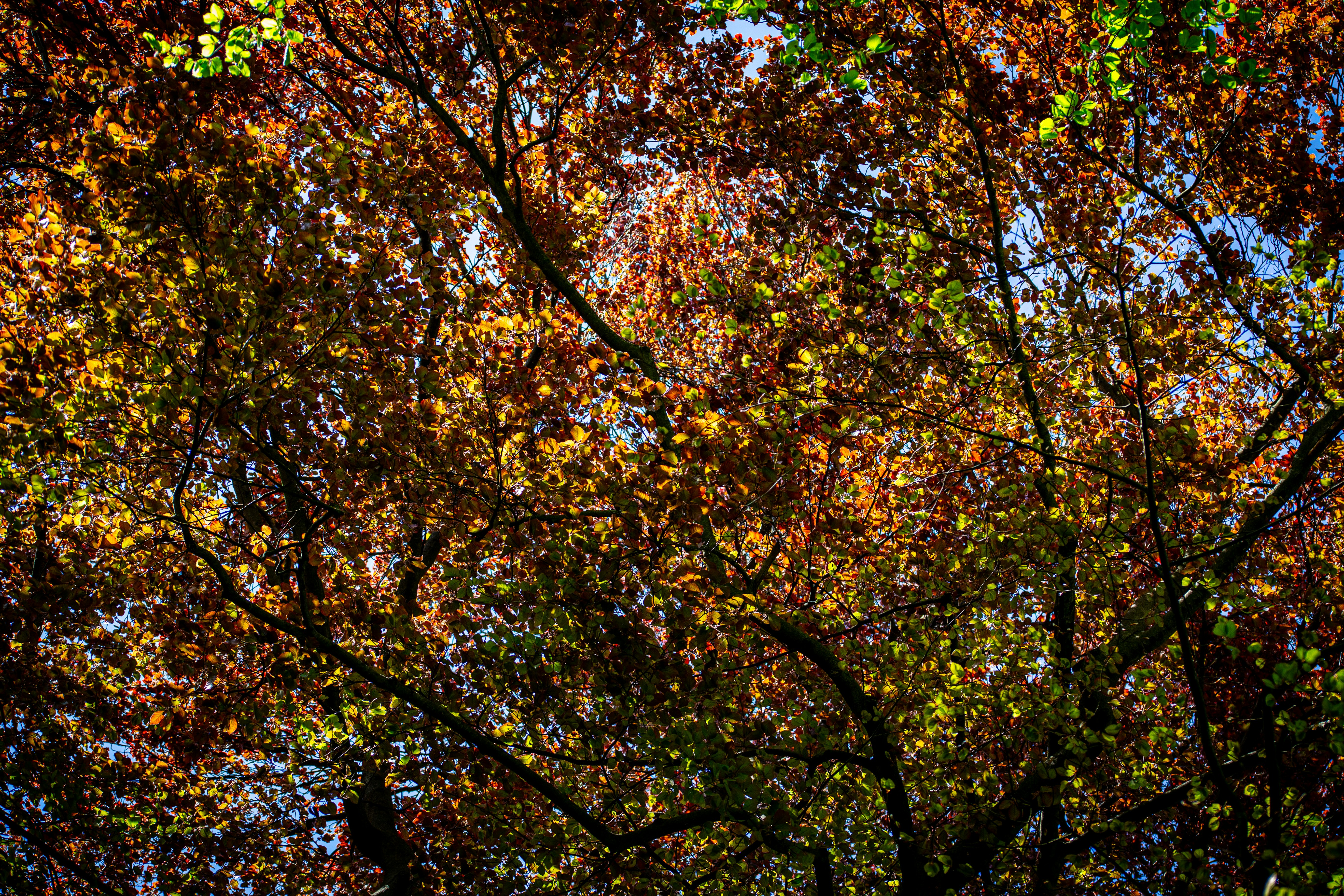 Photo by hdbernd