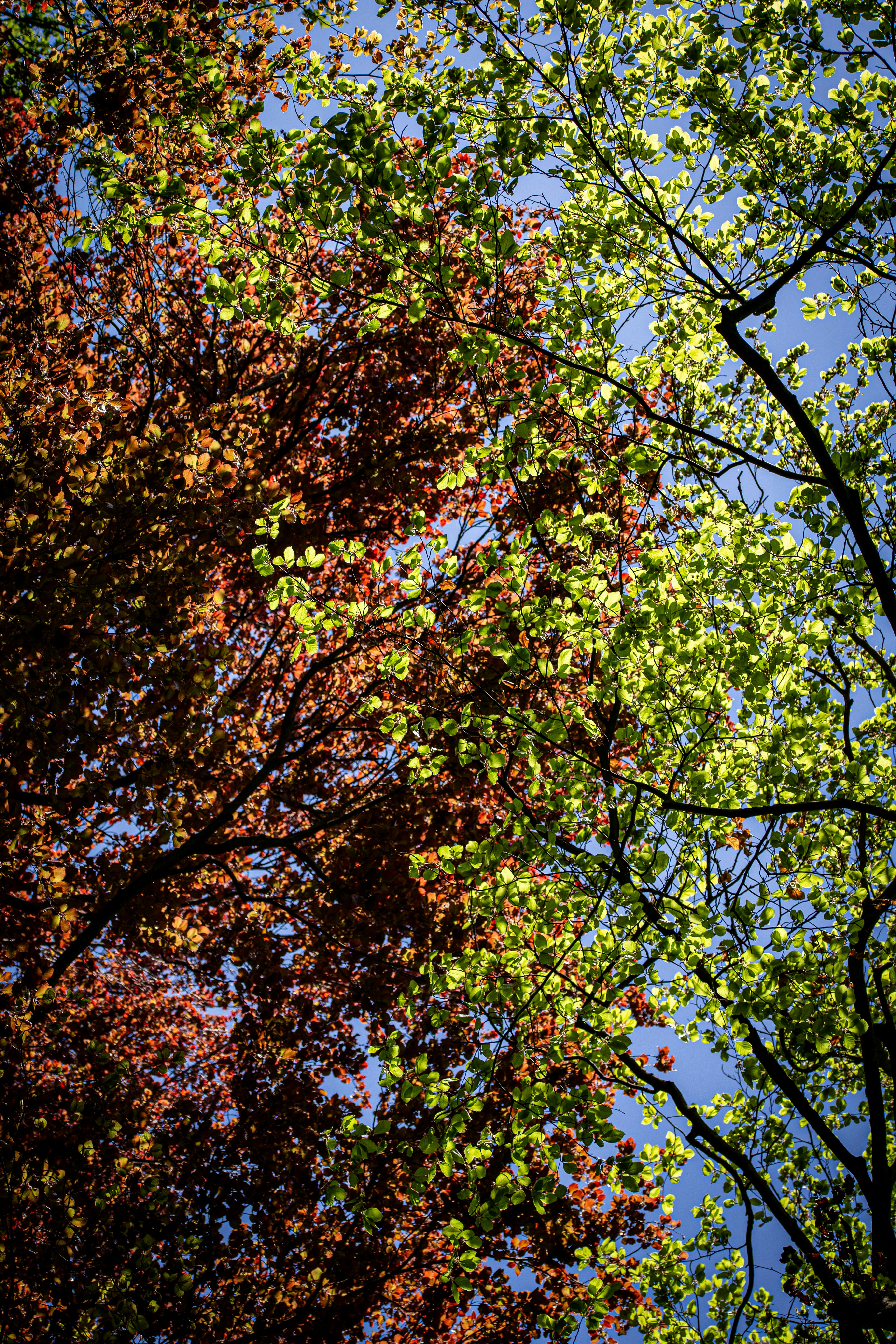 Photo by hdbernd