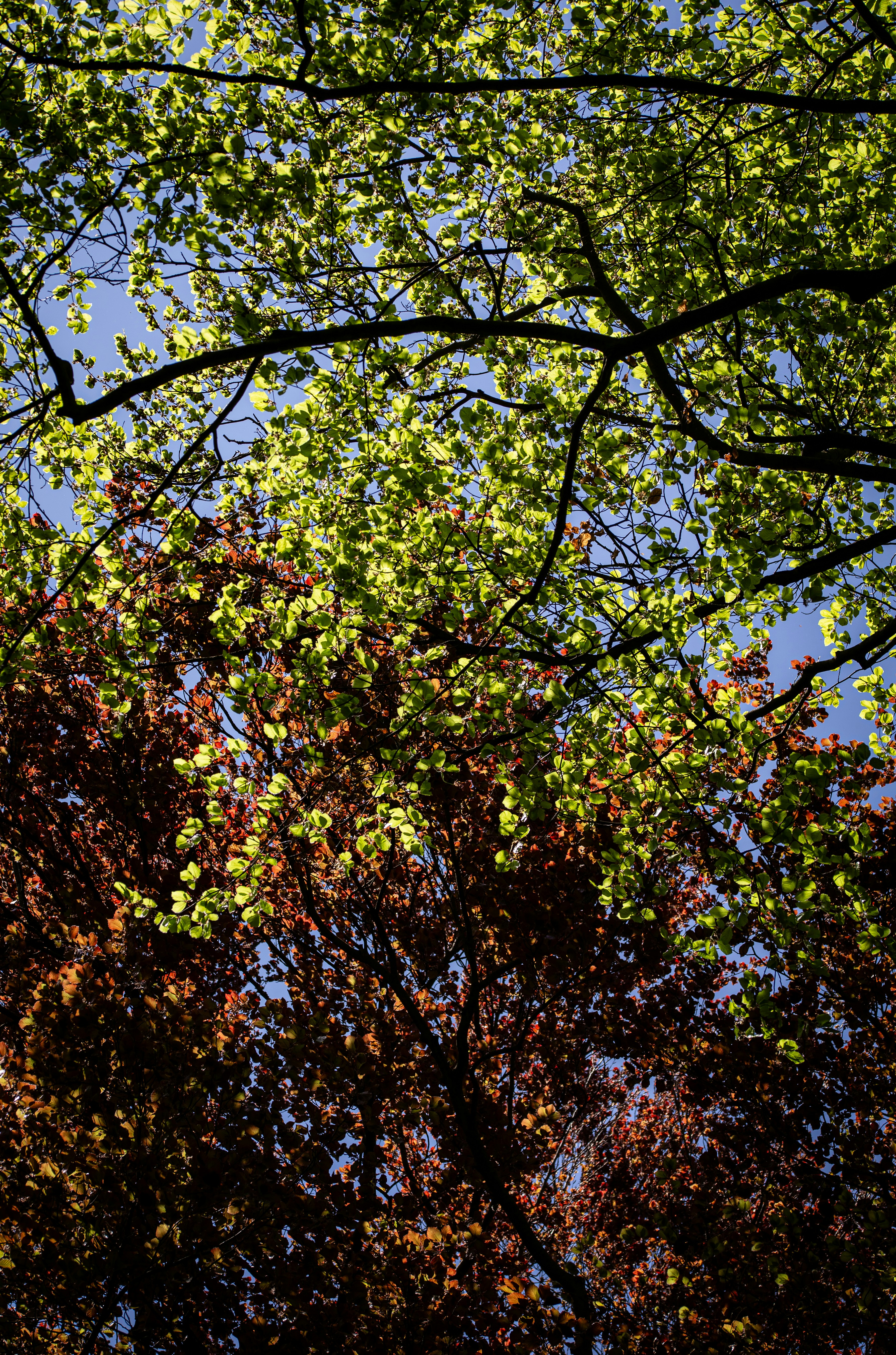 Photo by hdbernd