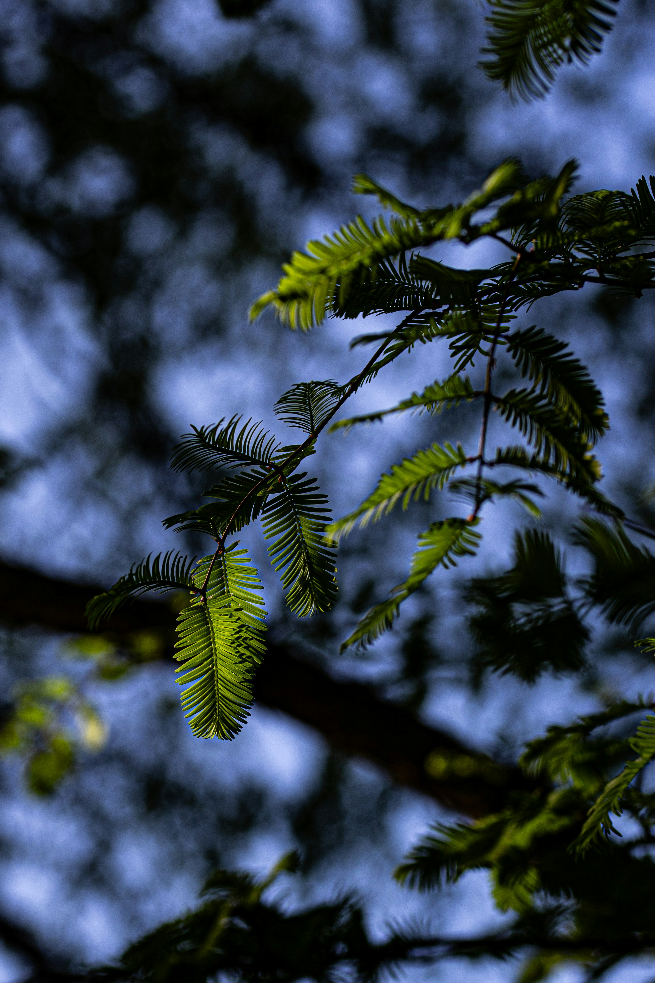 Photo by hdbernd