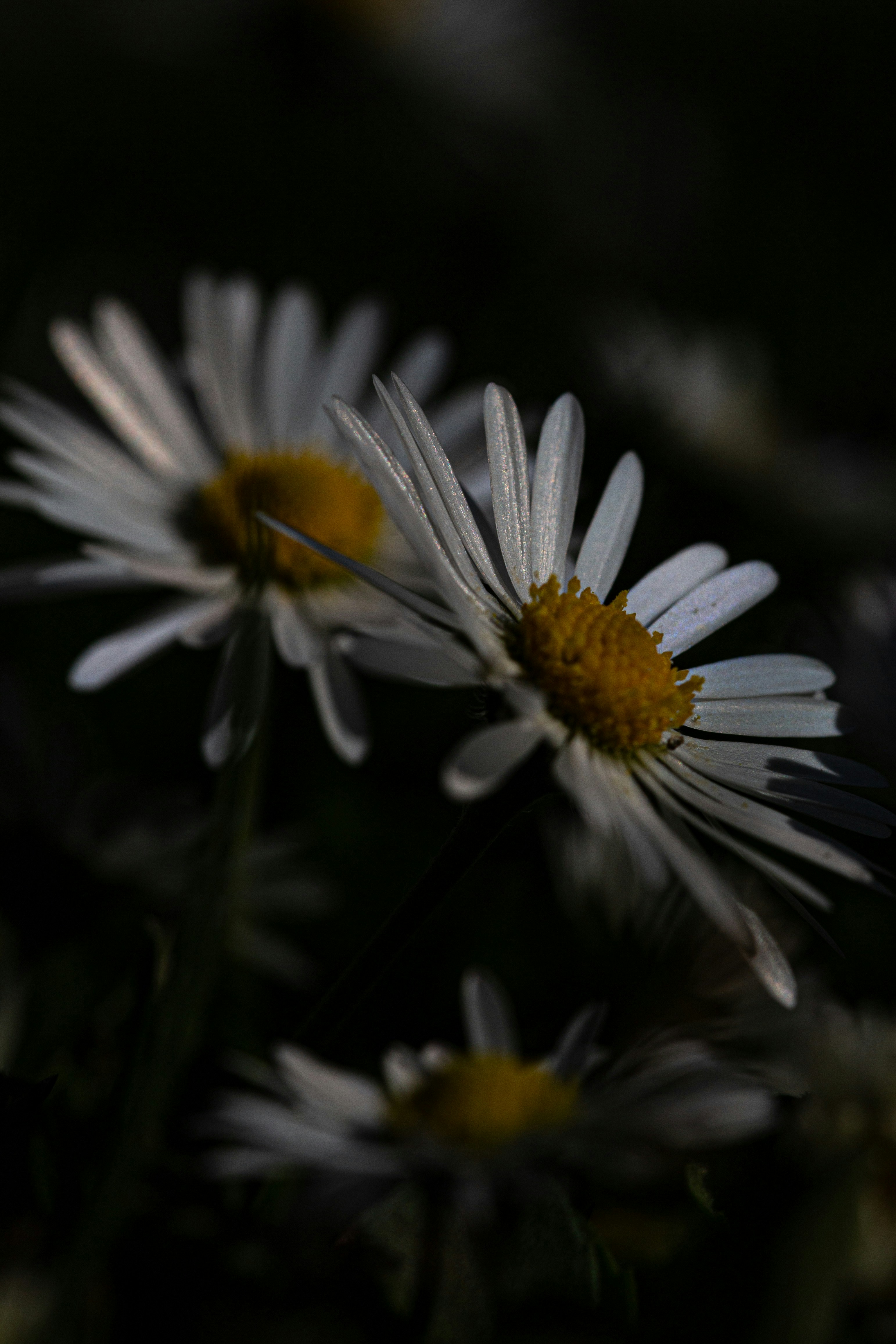 Photo by hdbernd