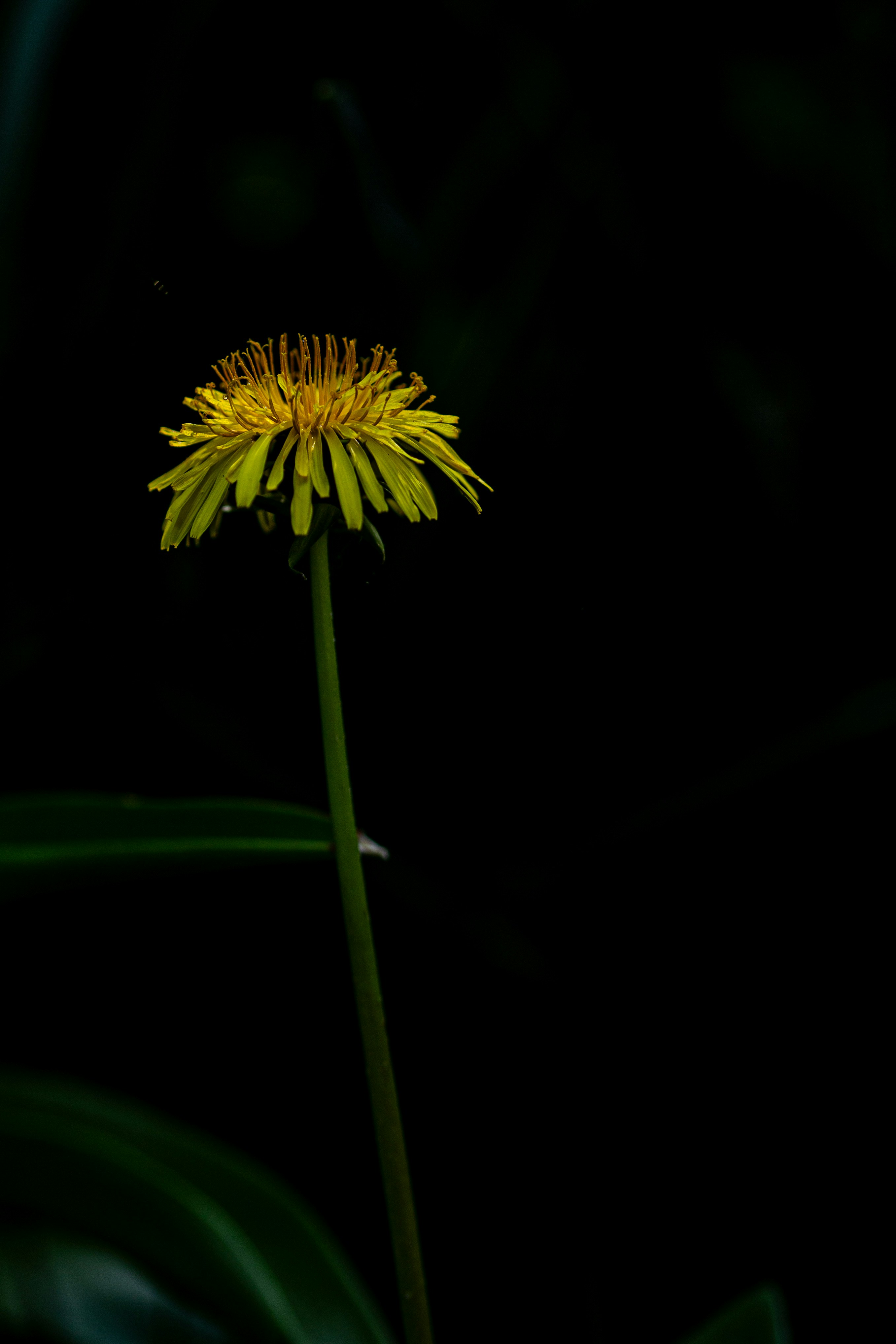 Photo by hdbernd