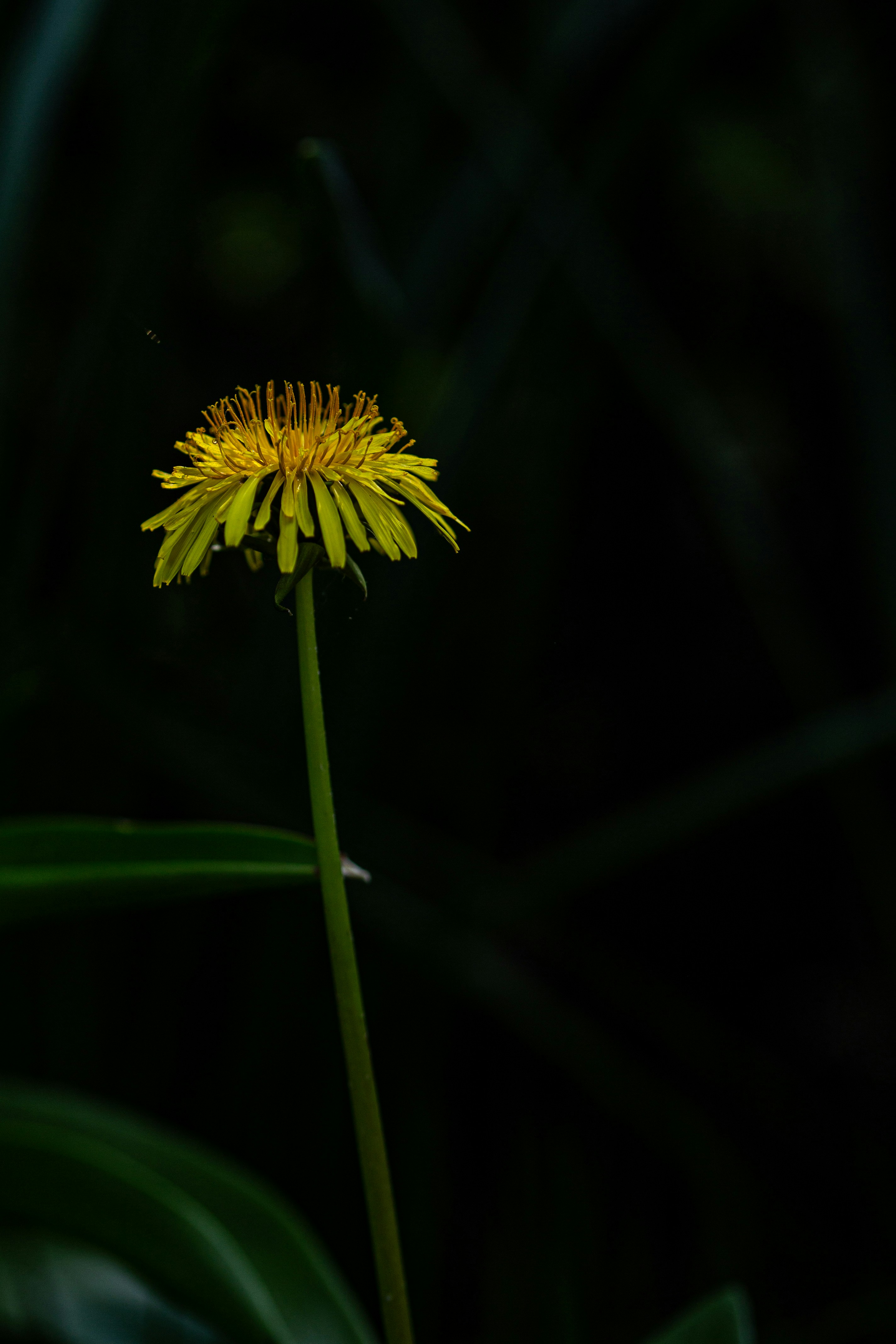 Photo by hdbernd