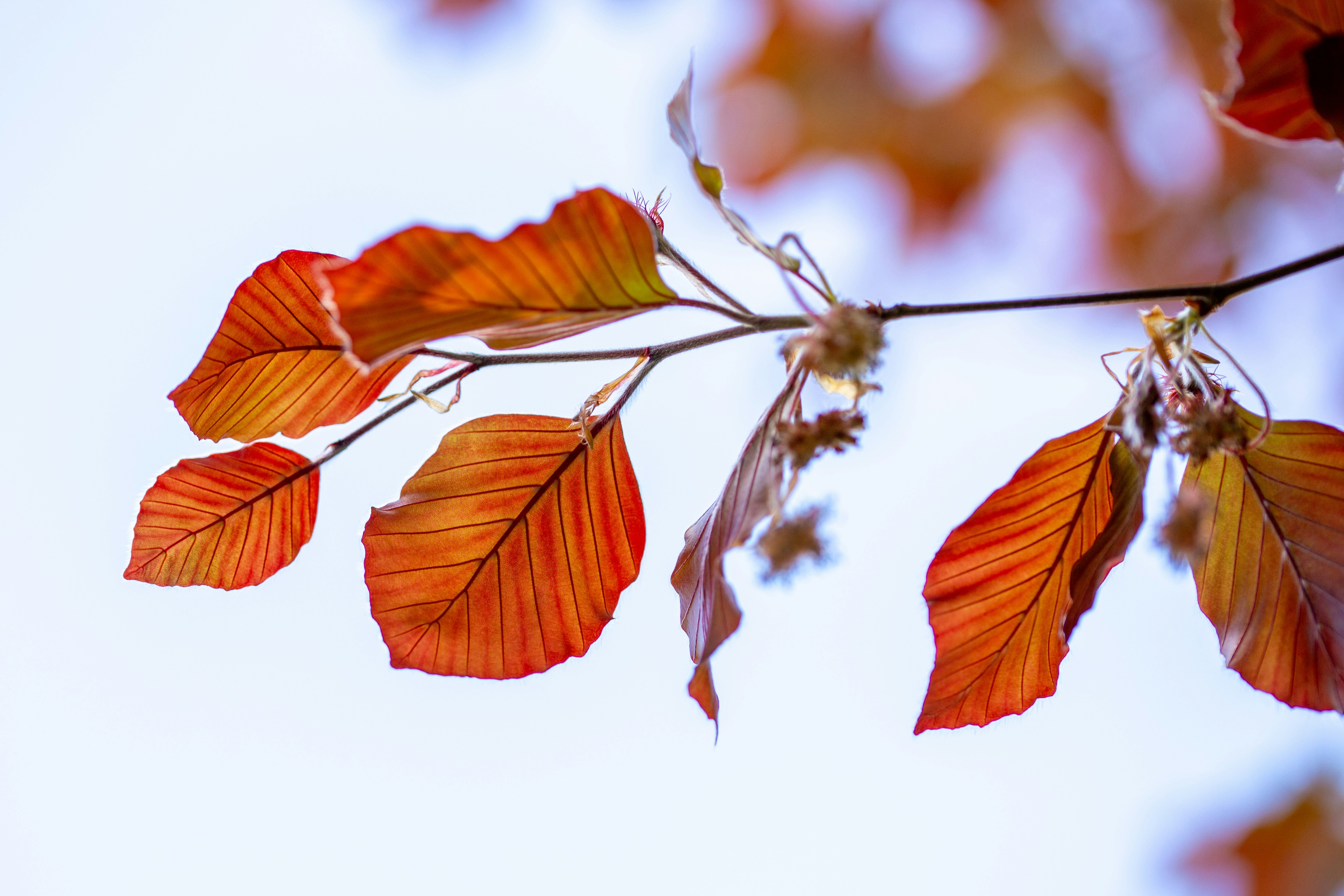 Photo by hdbernd
