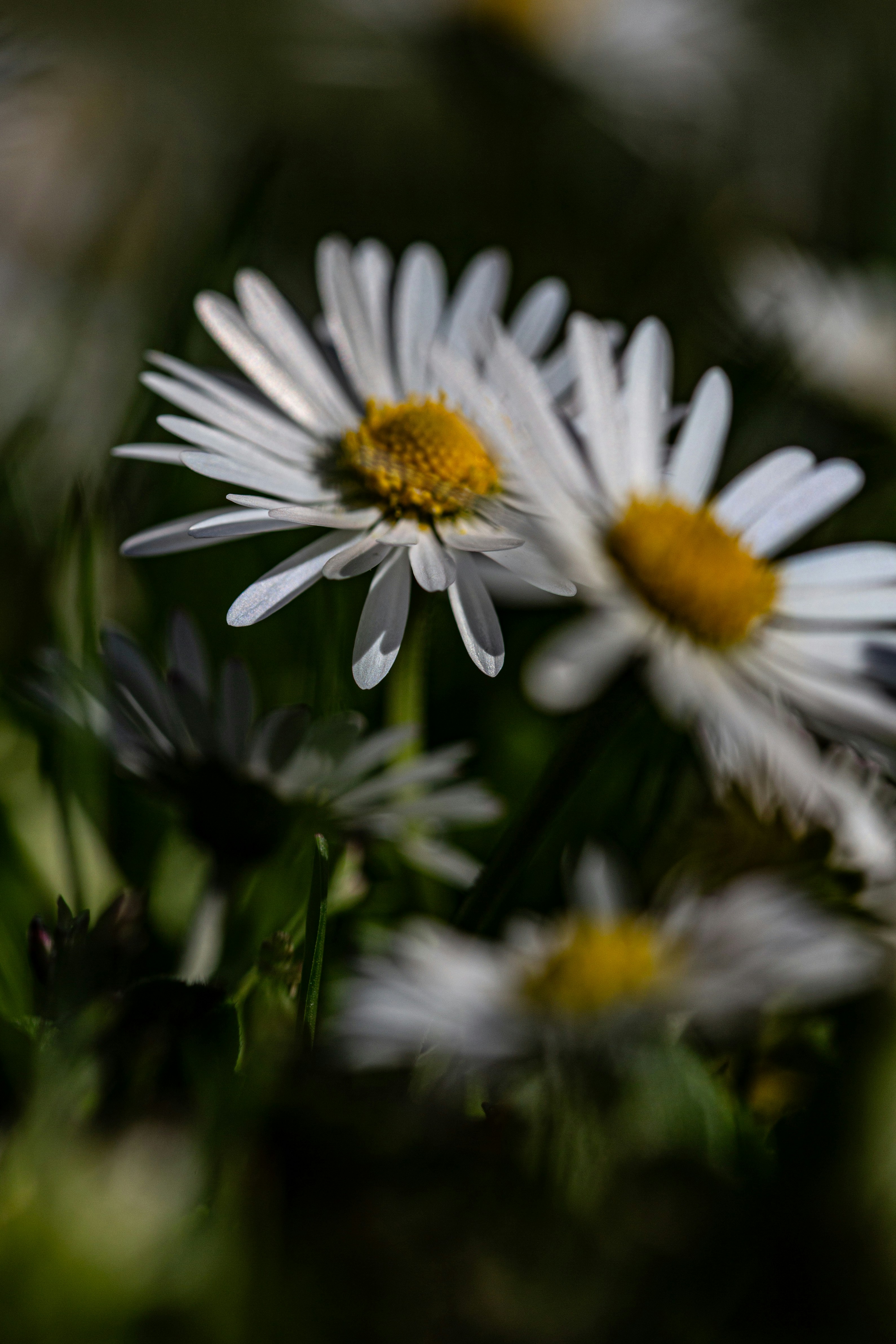 Photo by hdbernd