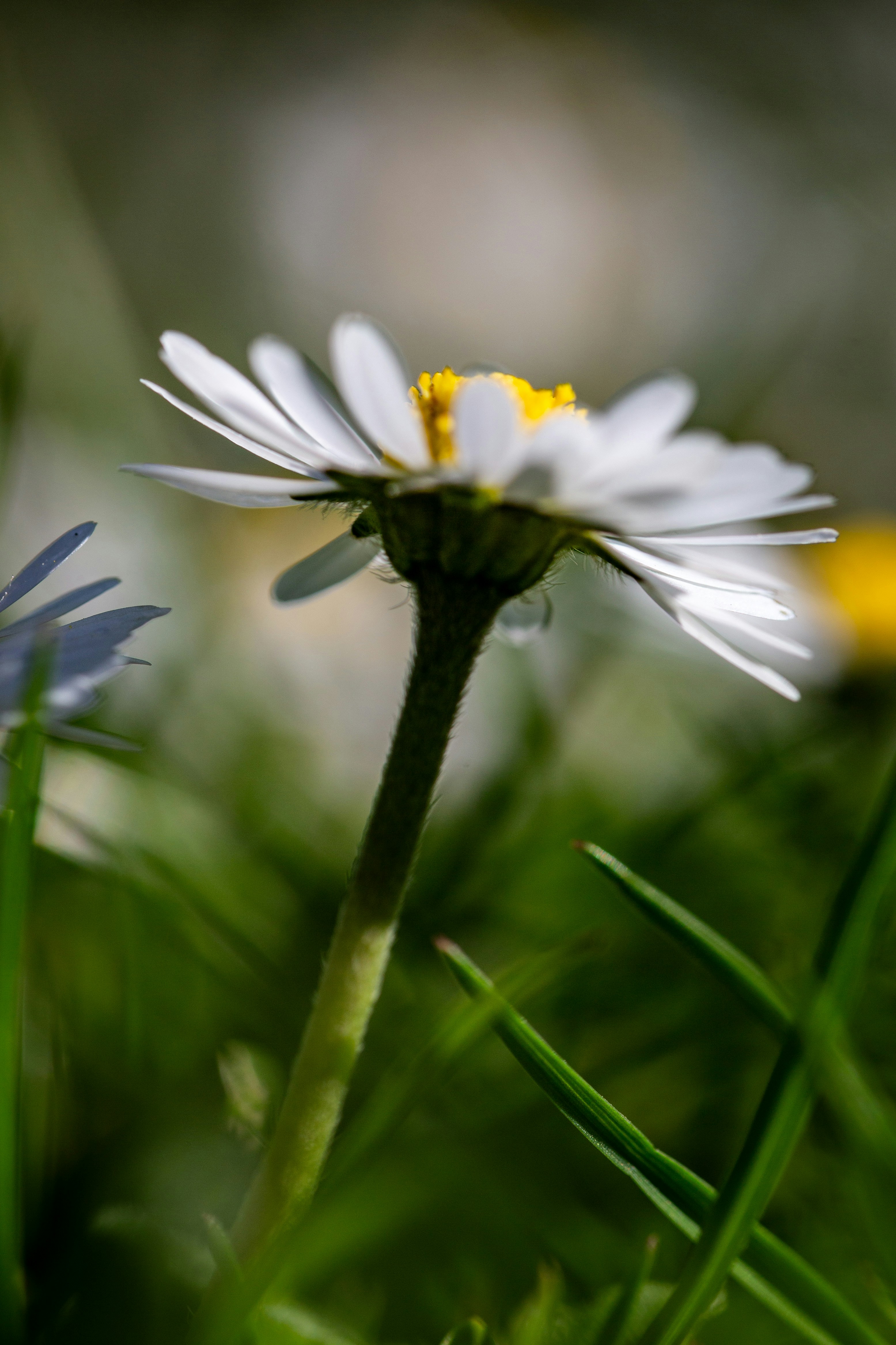 Photo by hdbernd